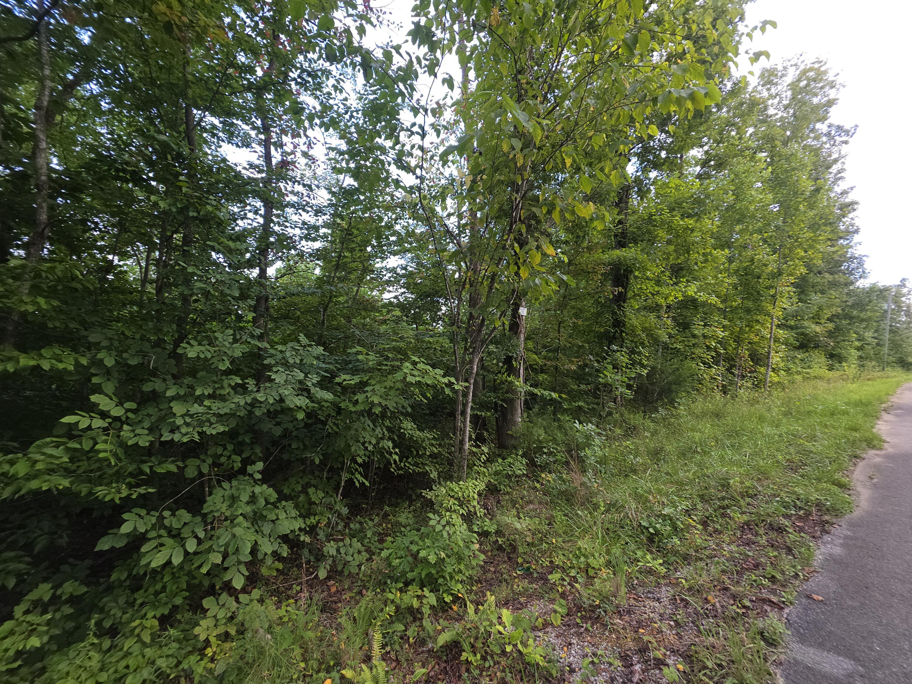 8 Buck Creek Circle Property Photo 7