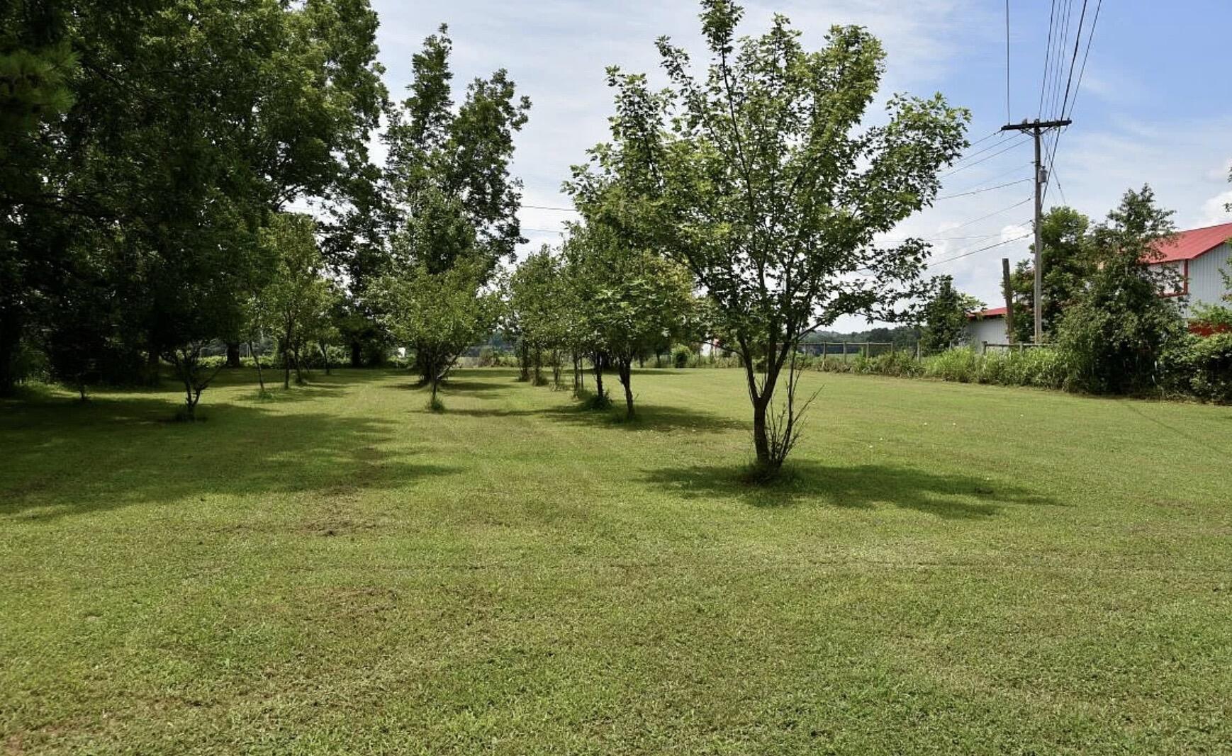 274 Brayboy Hadley Property Photo 19