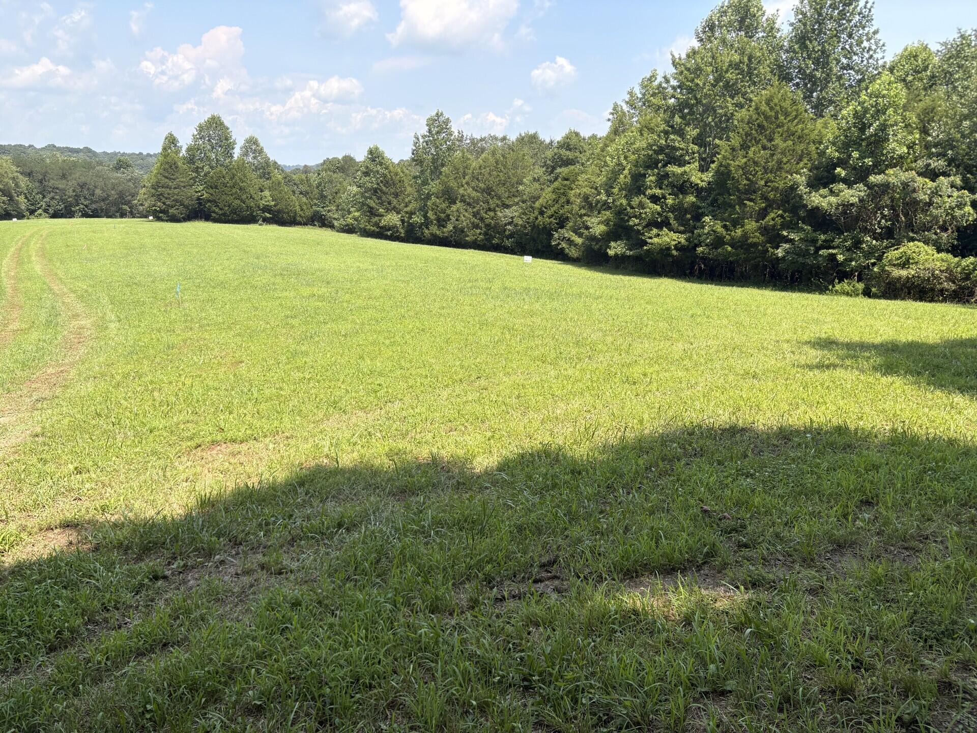 Tract 4 499 Gumm Rd Road Property Photo 1
