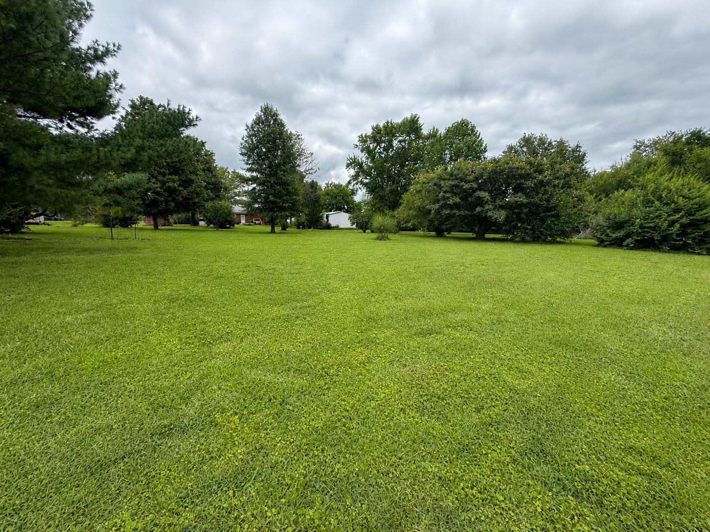 136 Paradise Camp Road Property Photo 26