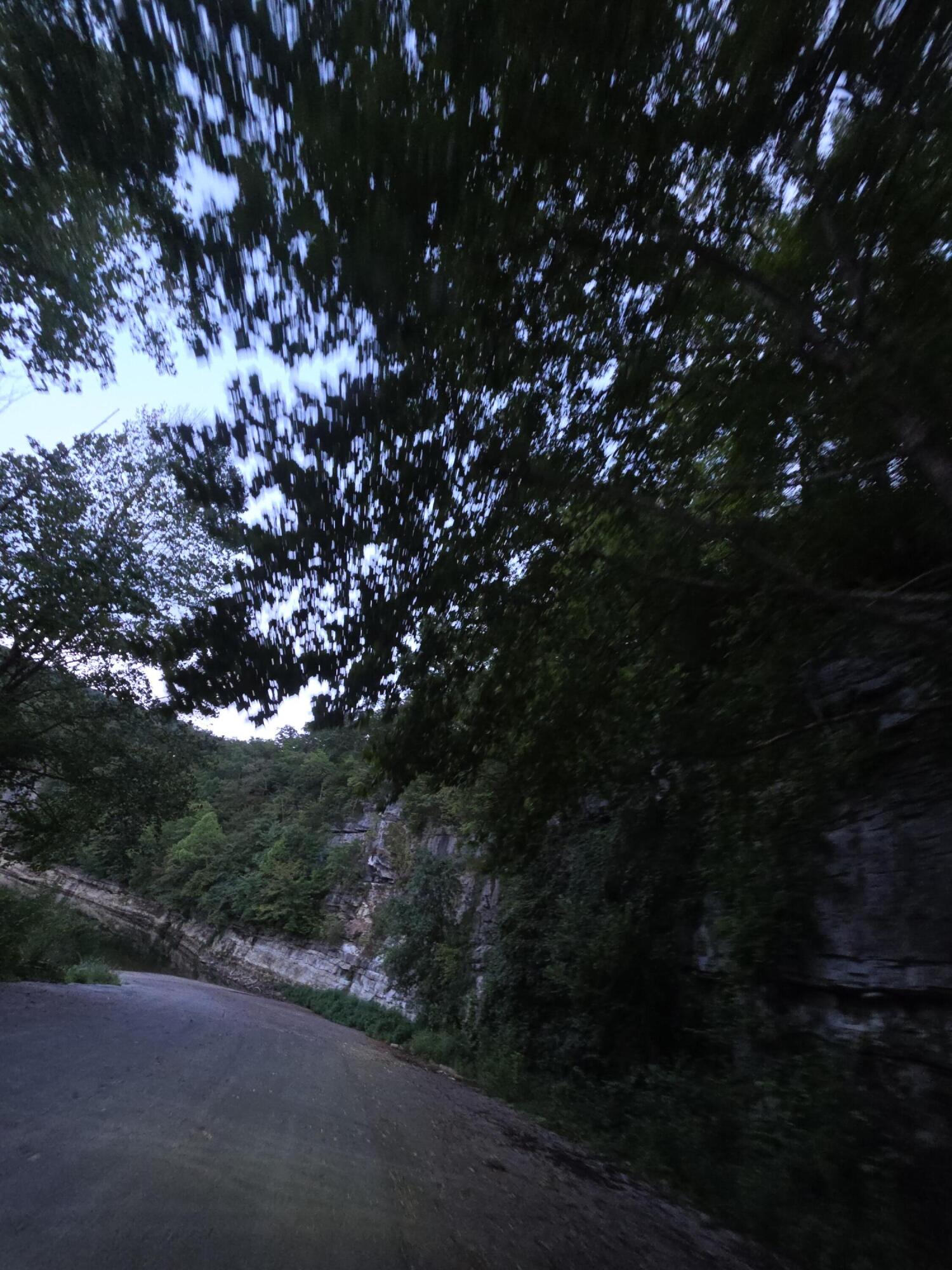 40 Buck Creek Circle Property Photo 6