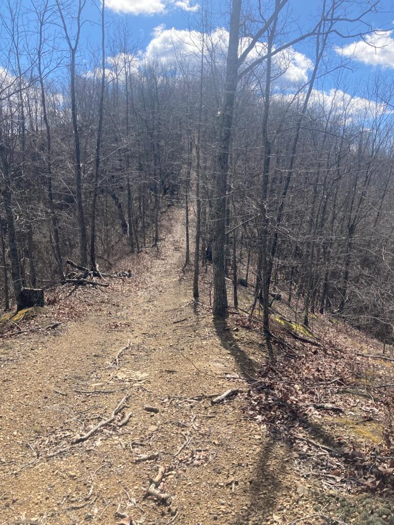 6 Toby Road Property Photo 6