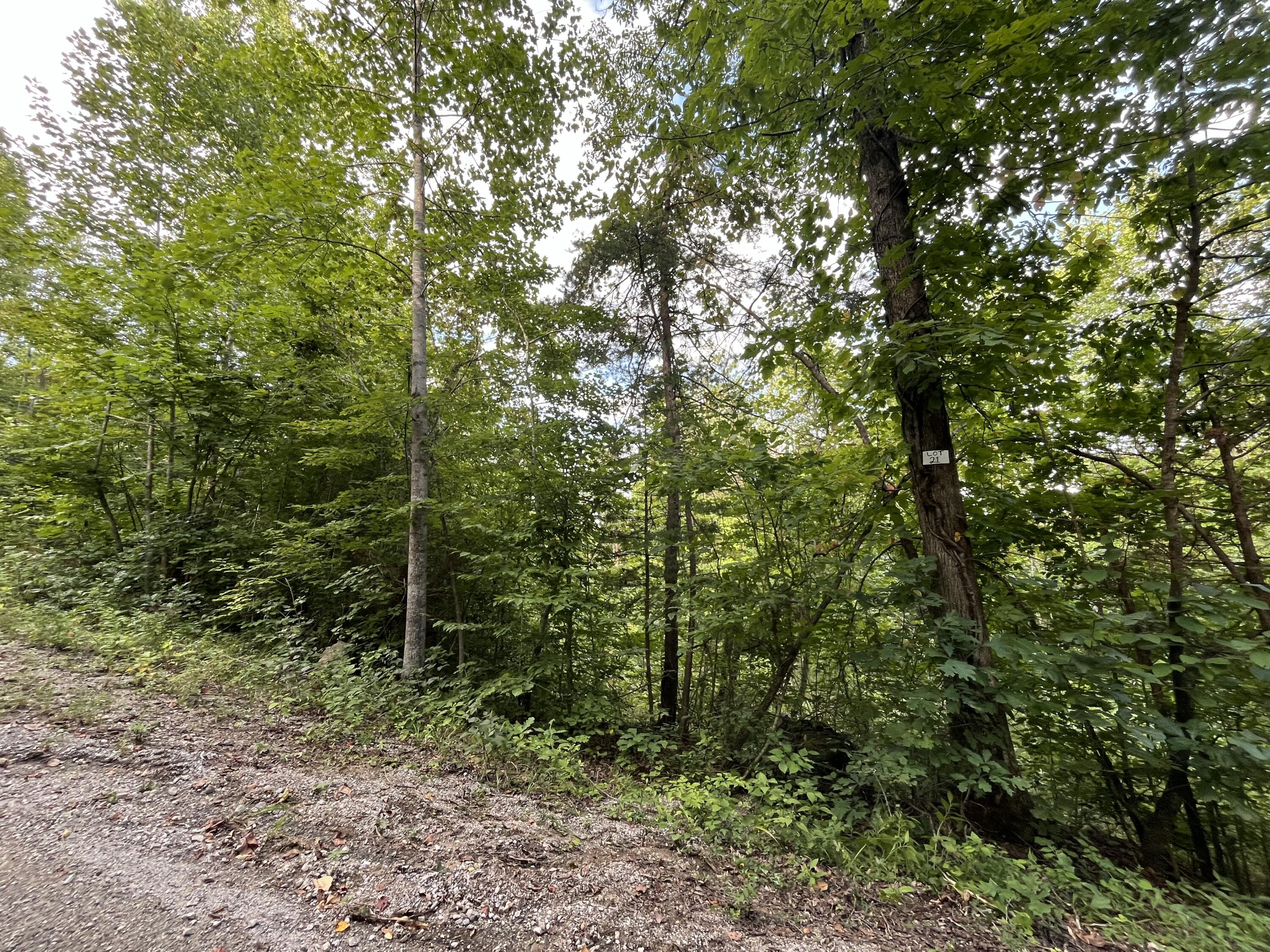 21 Buck Creek Circle Property Photo 2