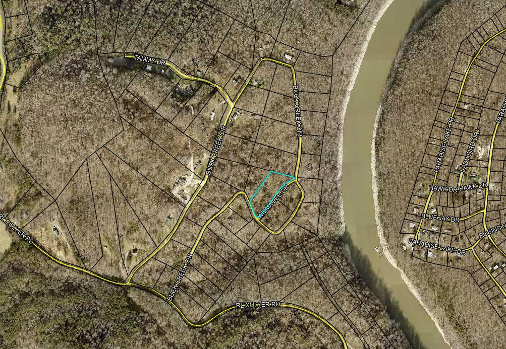 21 Buck Creek Circle Property Photo 3