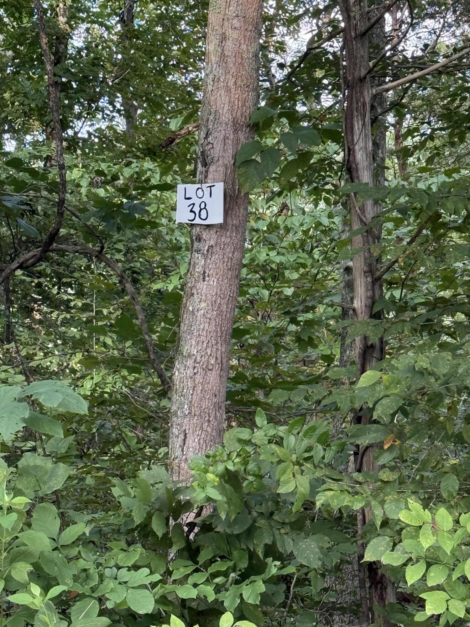 38 Buck Creek Circle Property Photo 2