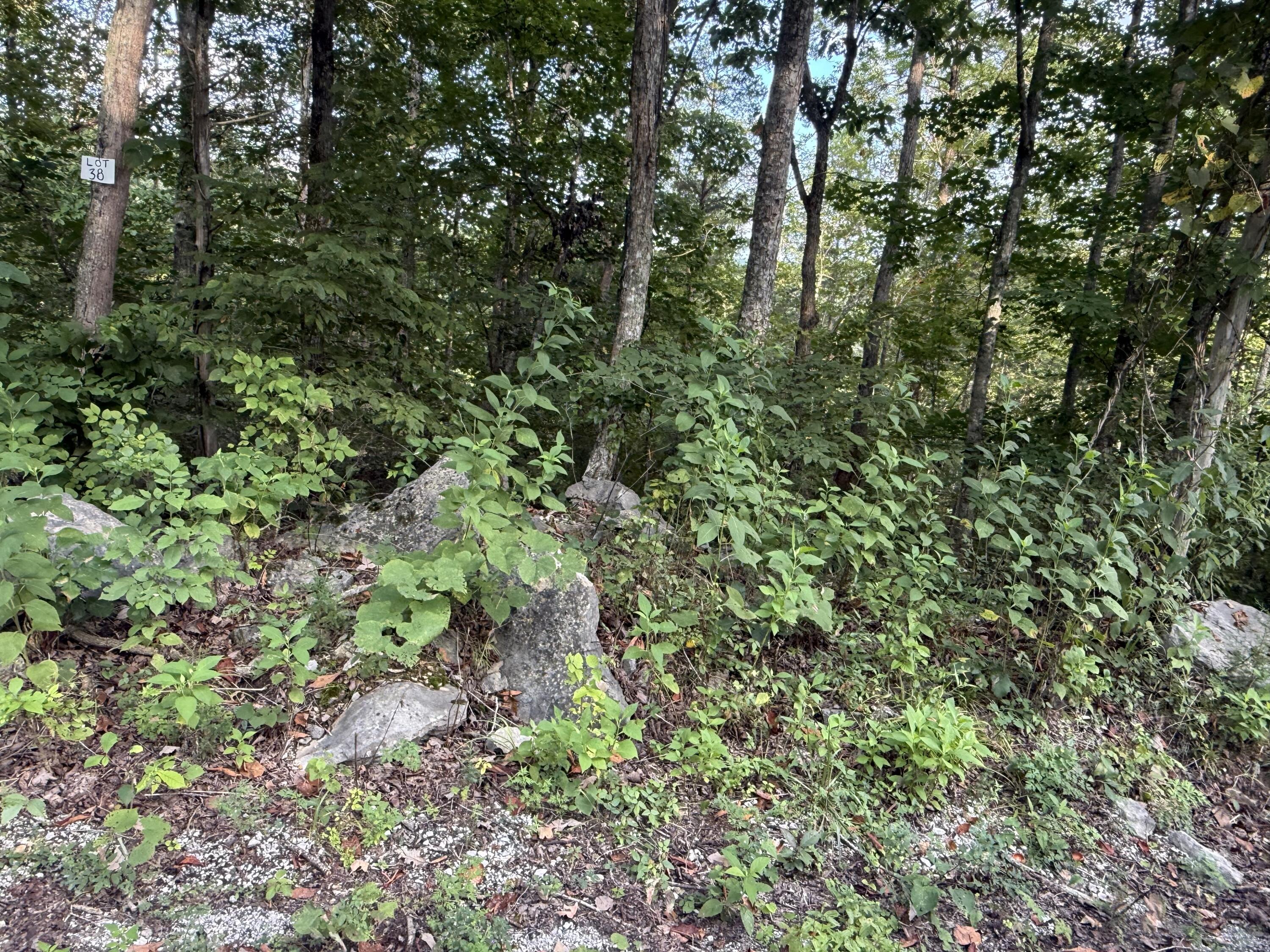 38 Buck Creek Circle Property Photo 3