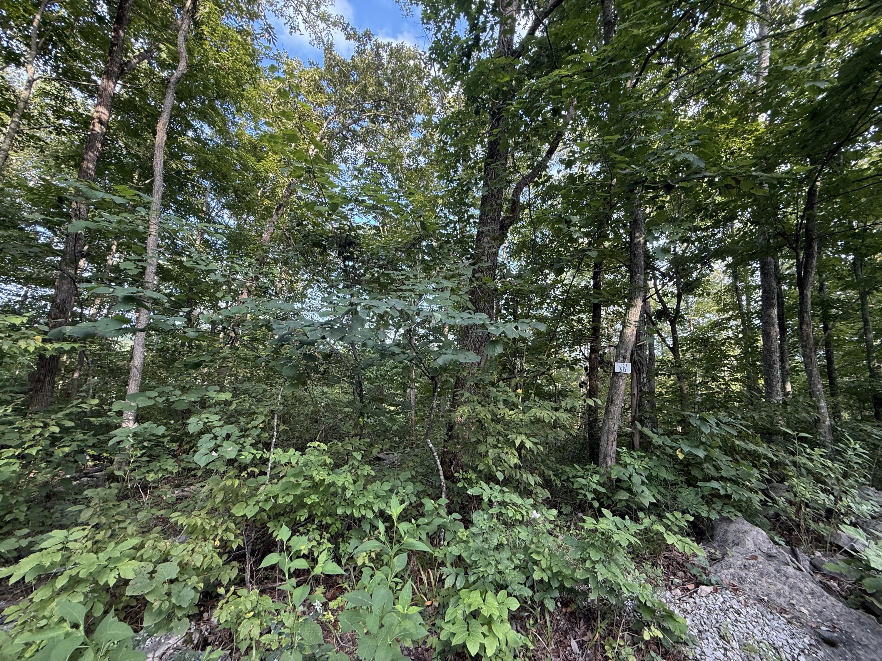 38 Buck Creek Circle Property Photo 4