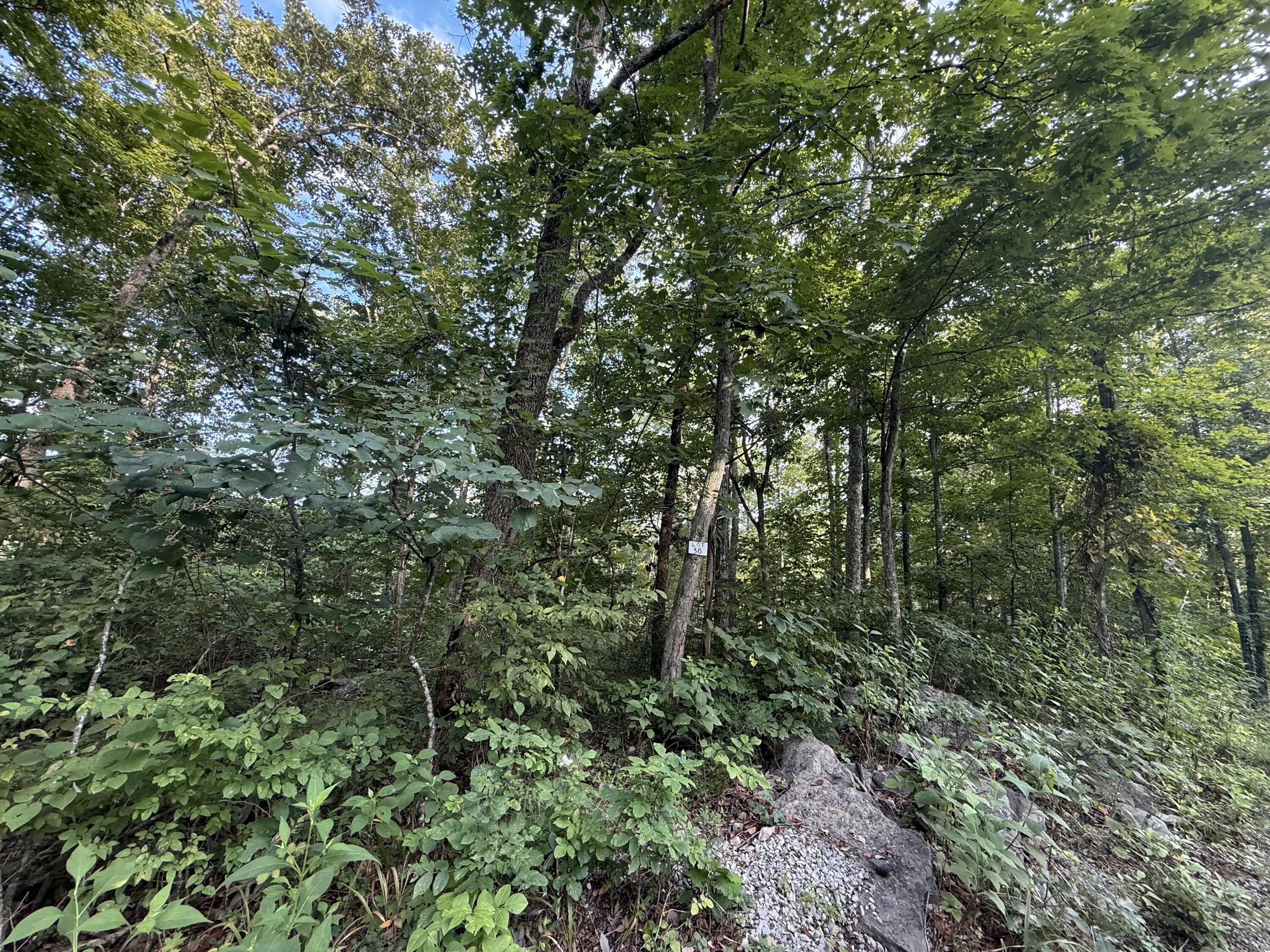 38 Buck Creek Circle Property Photo 6