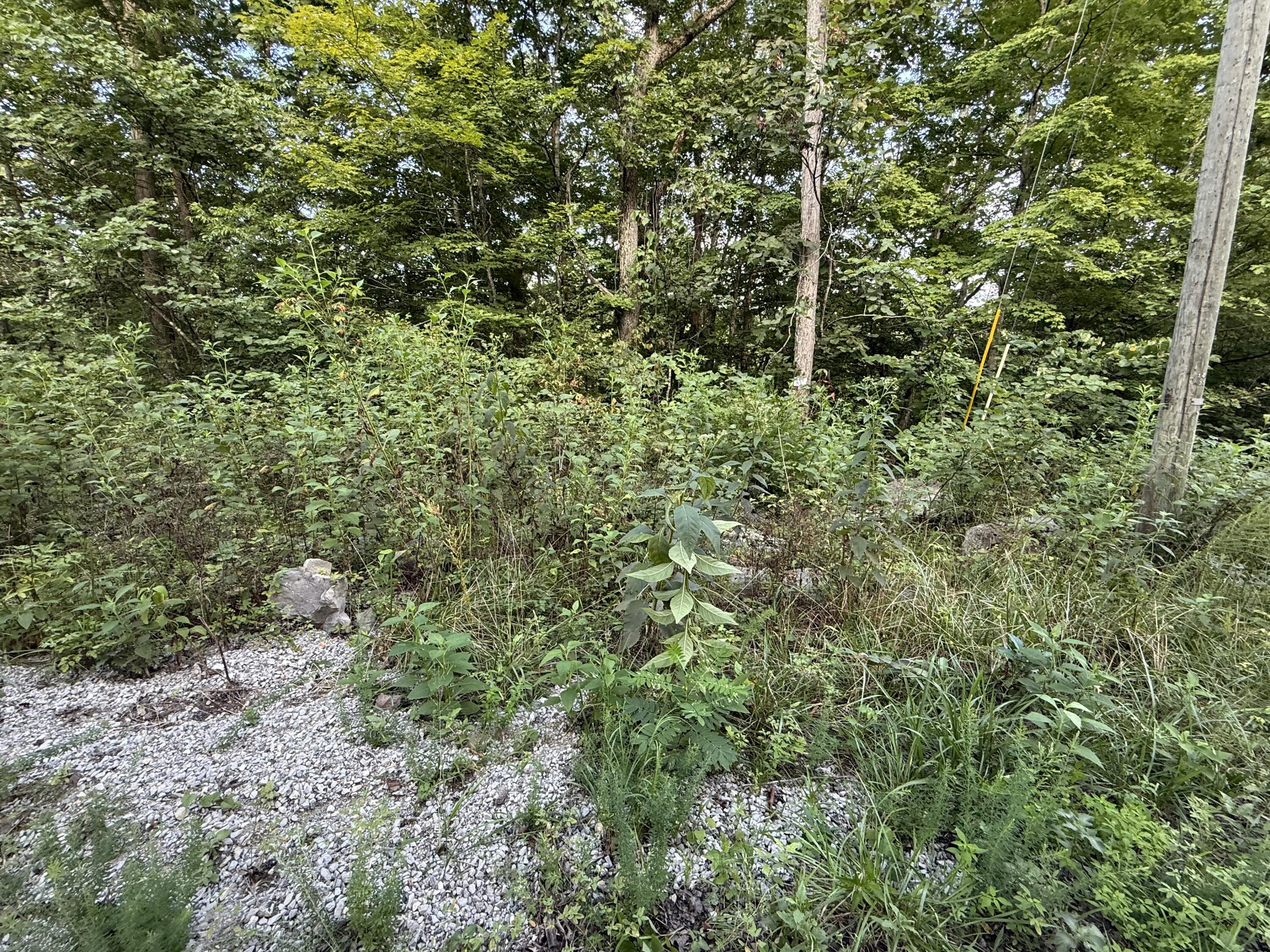 39 Buck Creek Circle Property Photo 1
