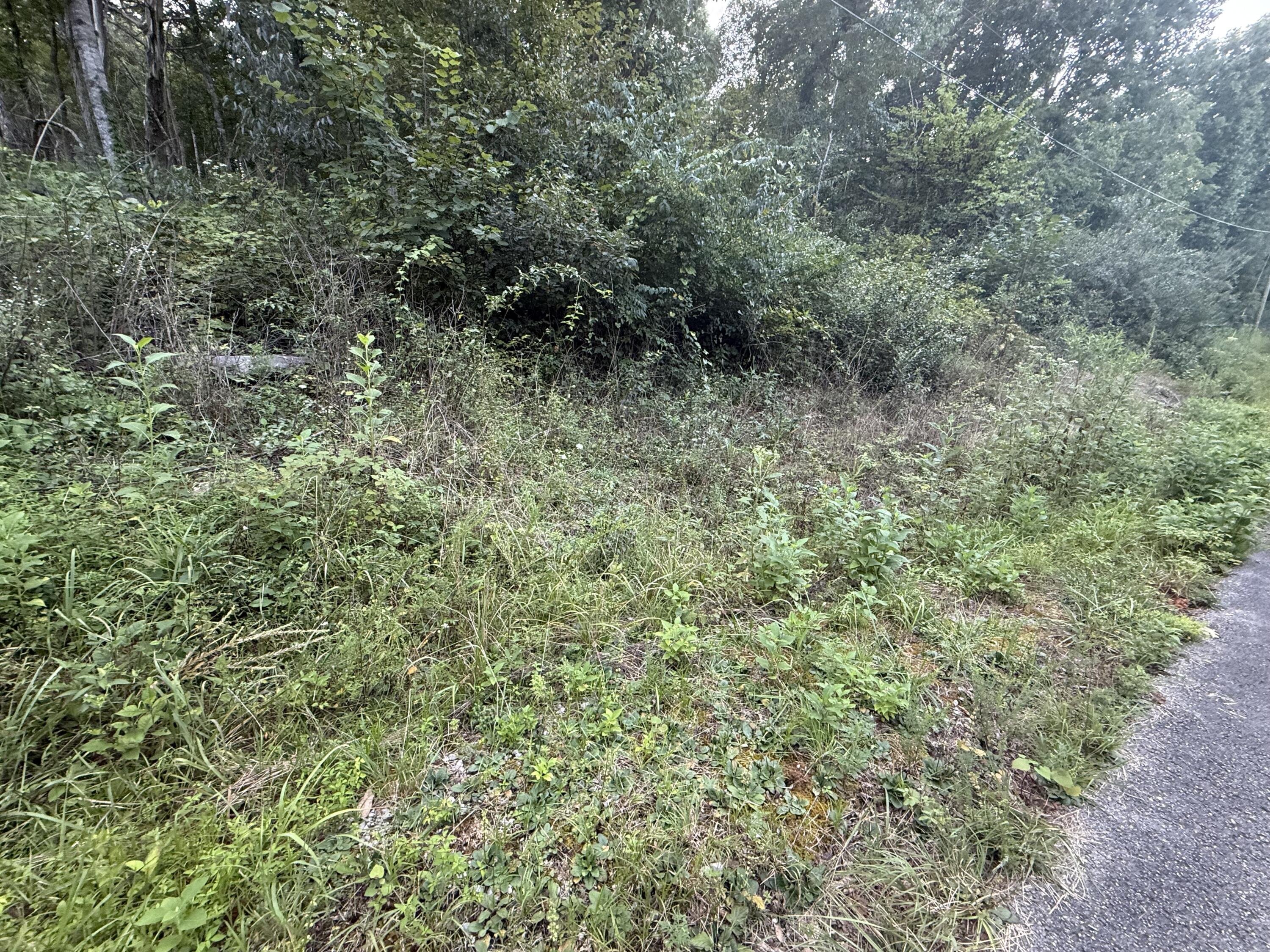 15 R.l Colyer Road Property Photo 13