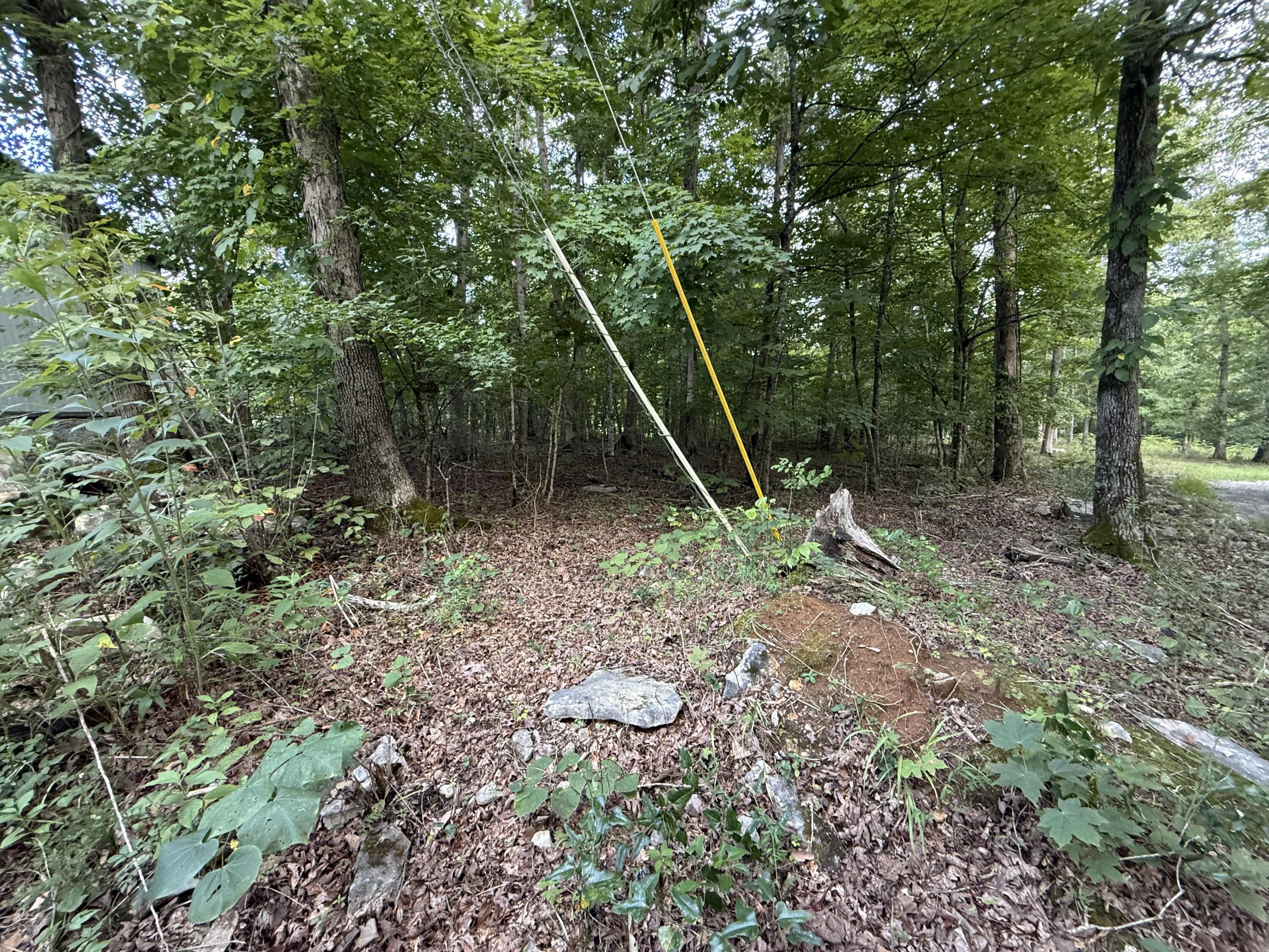 36 Buck Creek Circle Property Photo 3