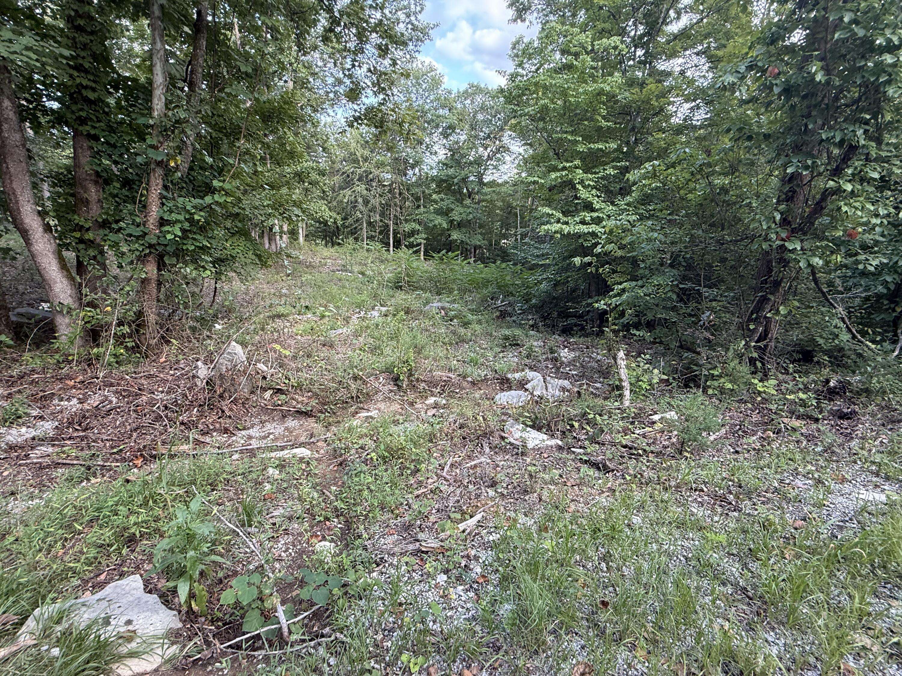 36 Buck Creek Circle Property Photo 4