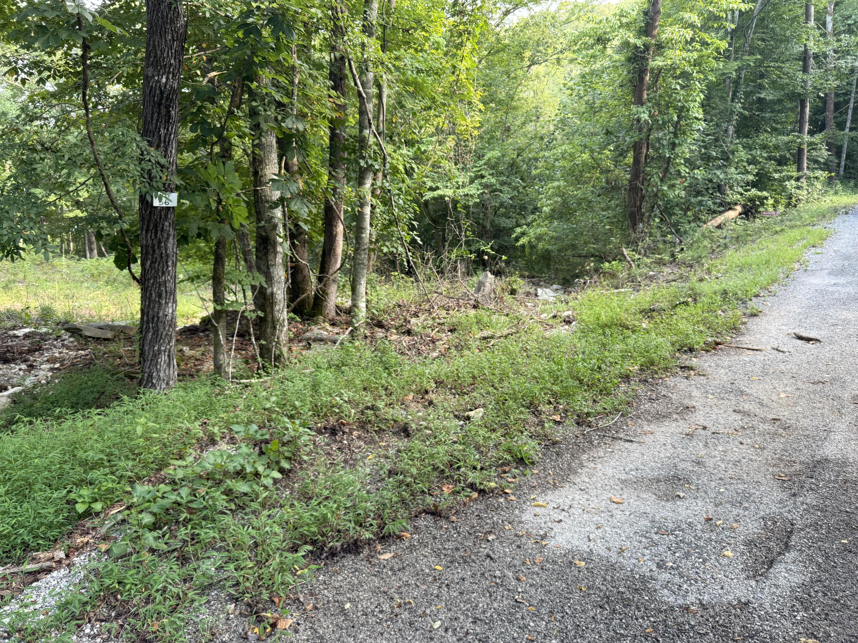 35 Buck Creek Circle Property Photo 6