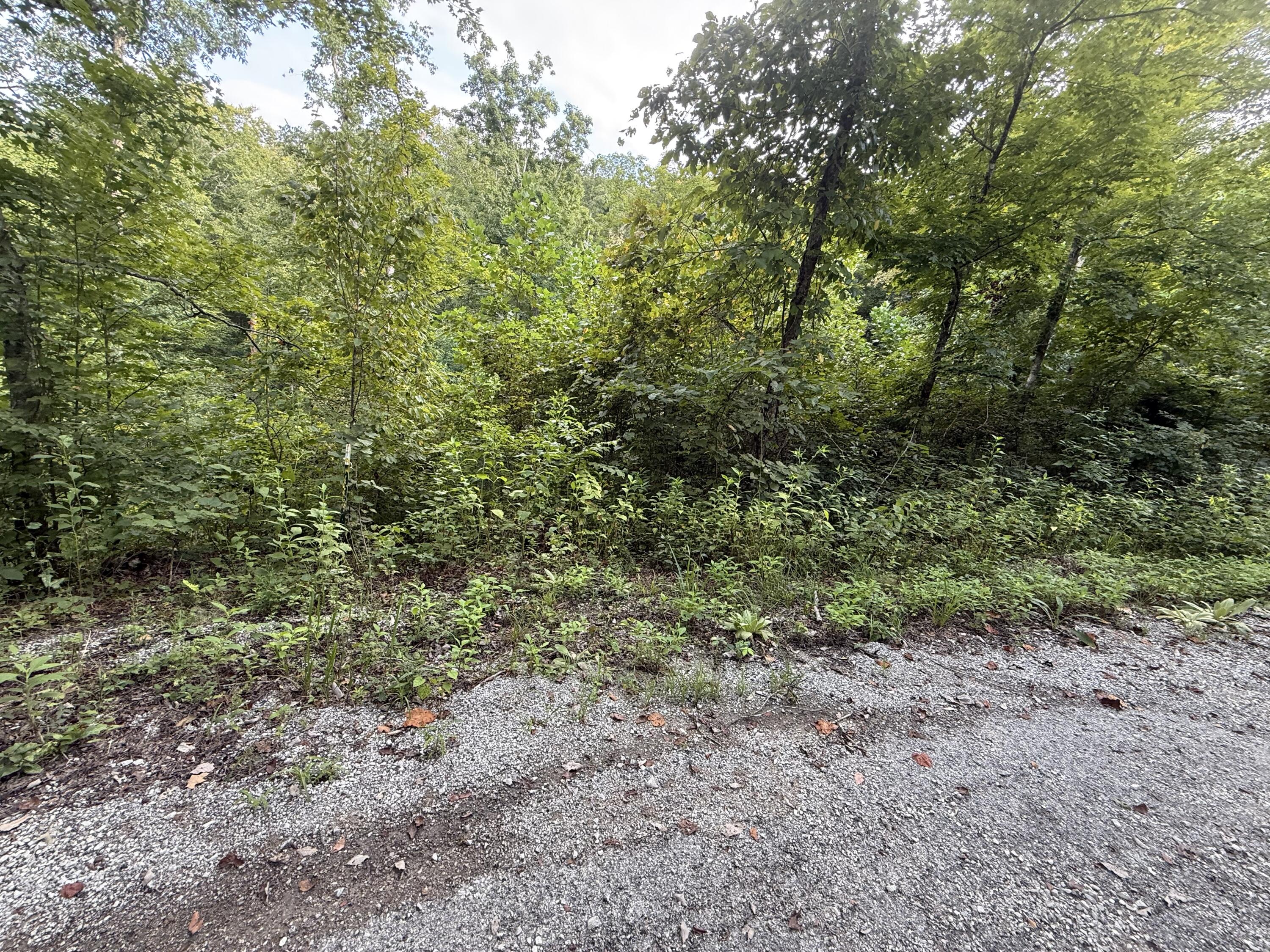 35 Buck Creek Circle Property Photo 7