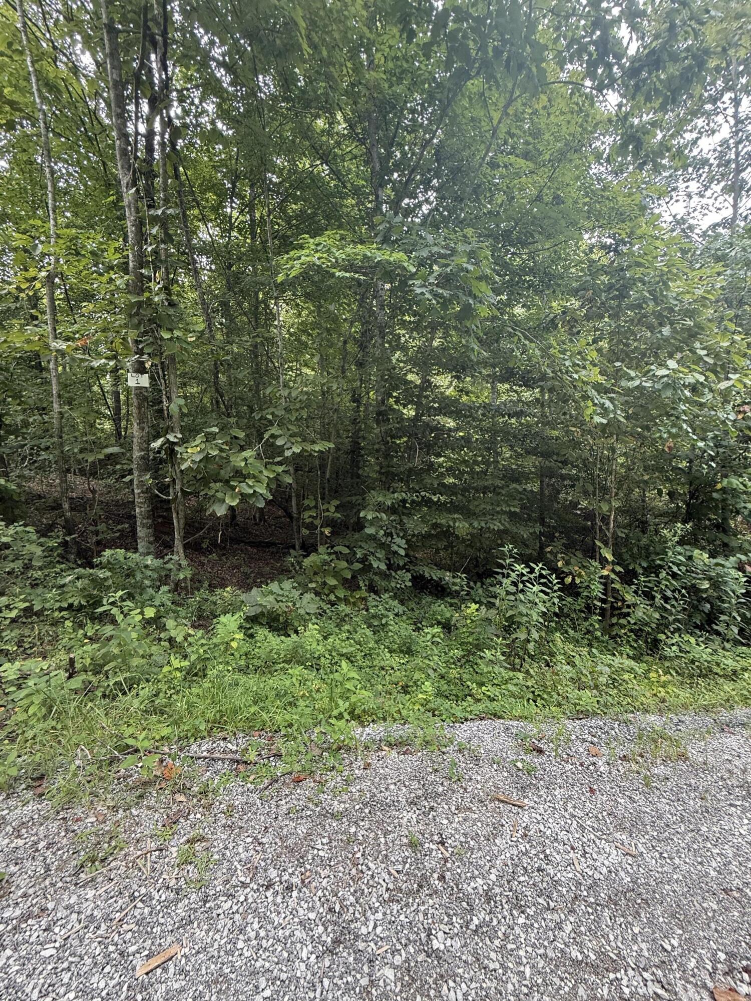 25 Buck Creek Circle Property Photo 3