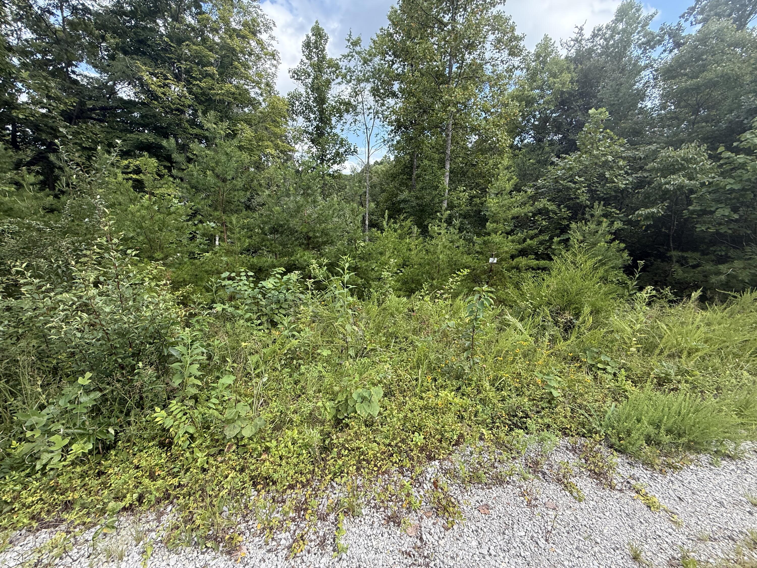 25 Buck Creek Circle Property Photo 4