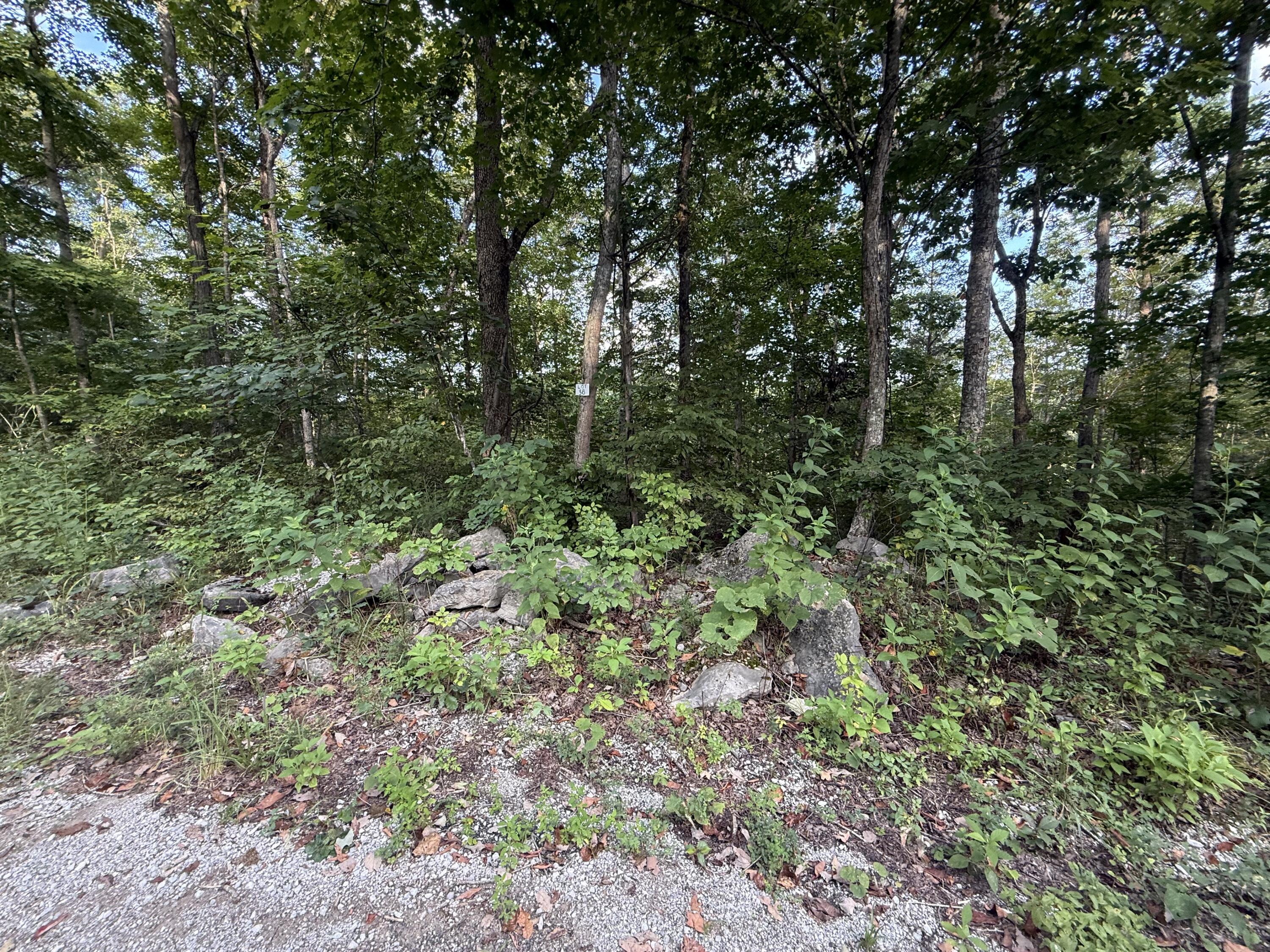 26 Buck Creek Circle Property Photo 3