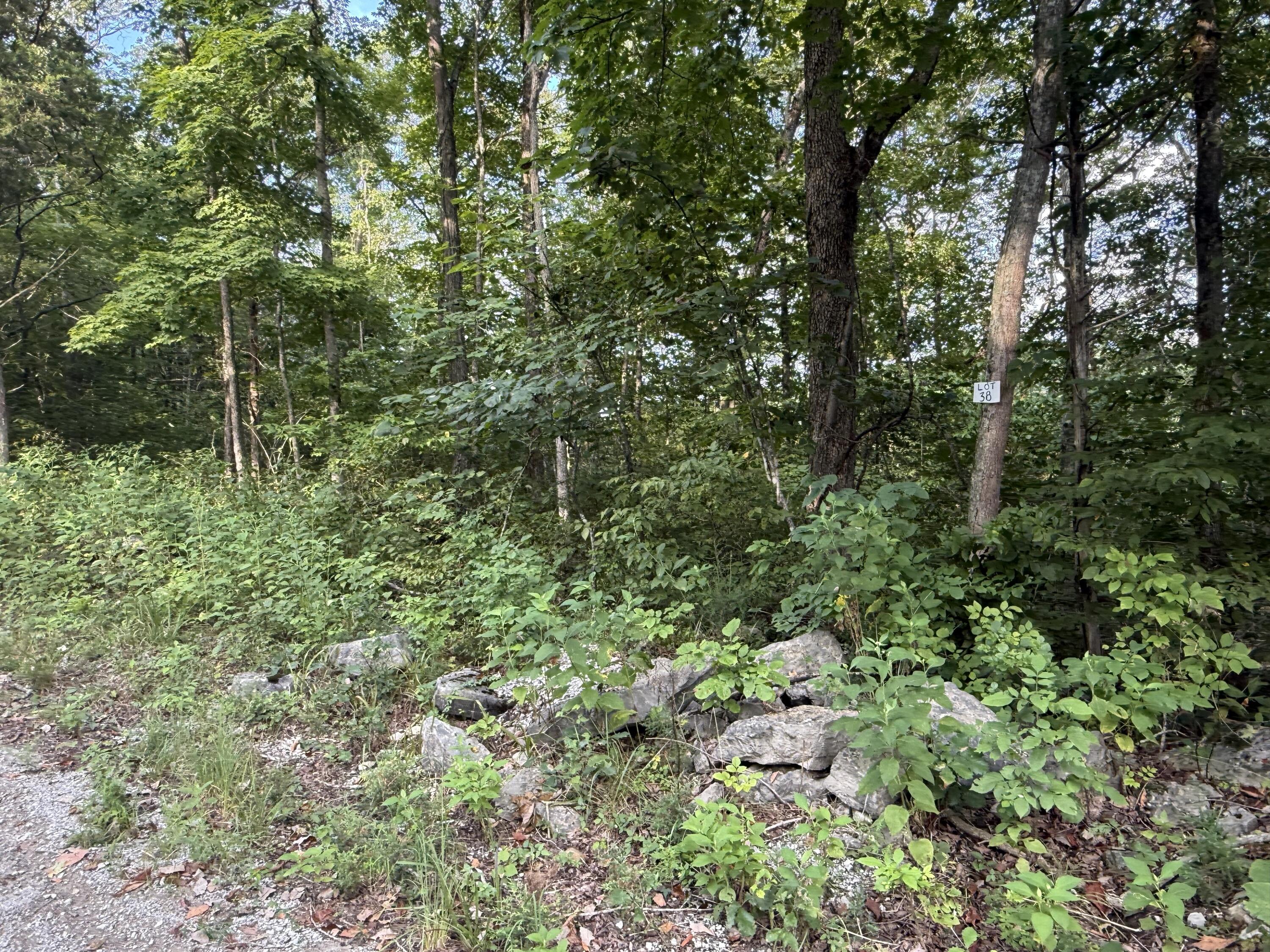 26 Buck Creek Circle Property Photo 4