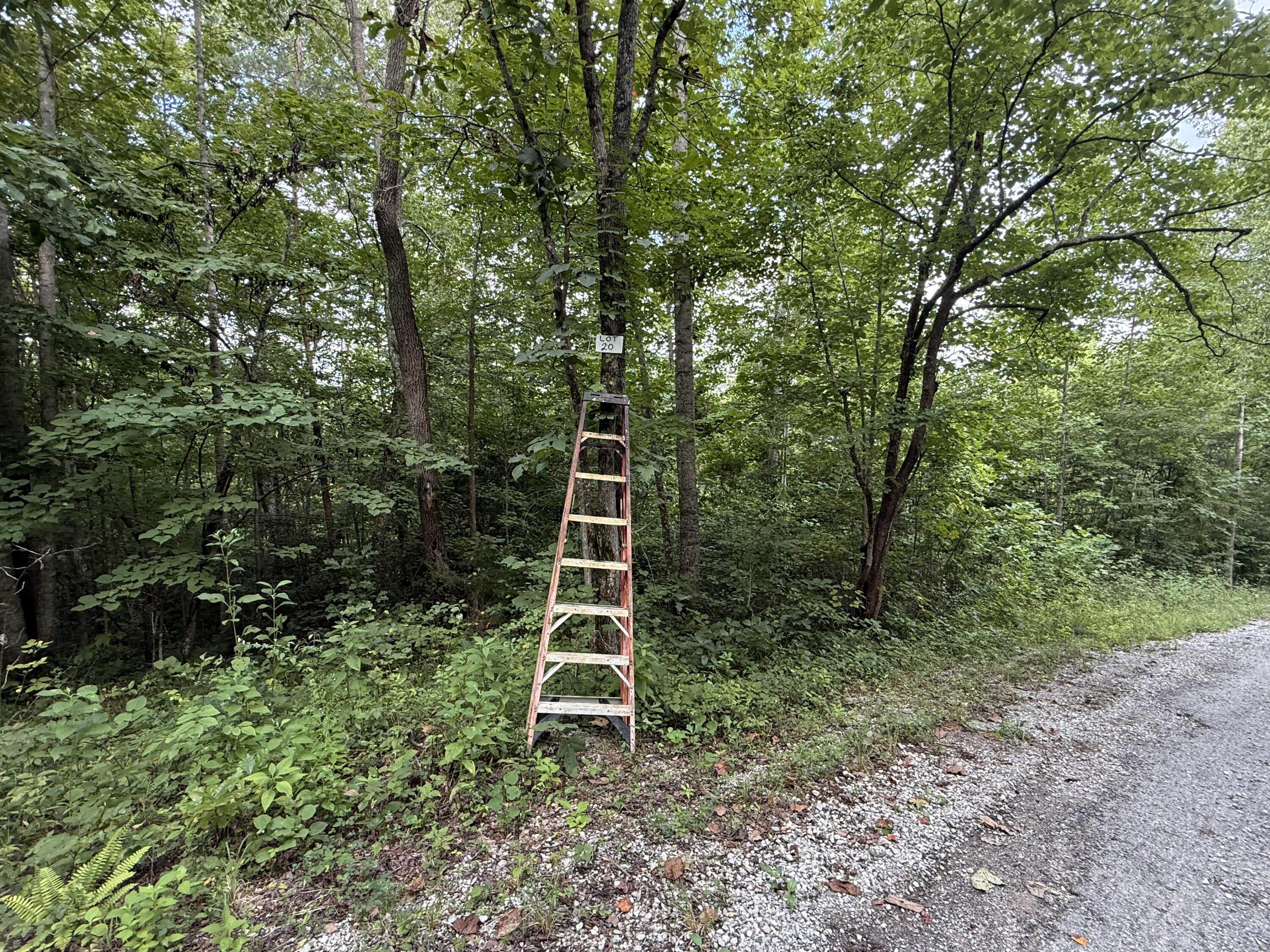 27 Buck Creek Circle Property Photo 2