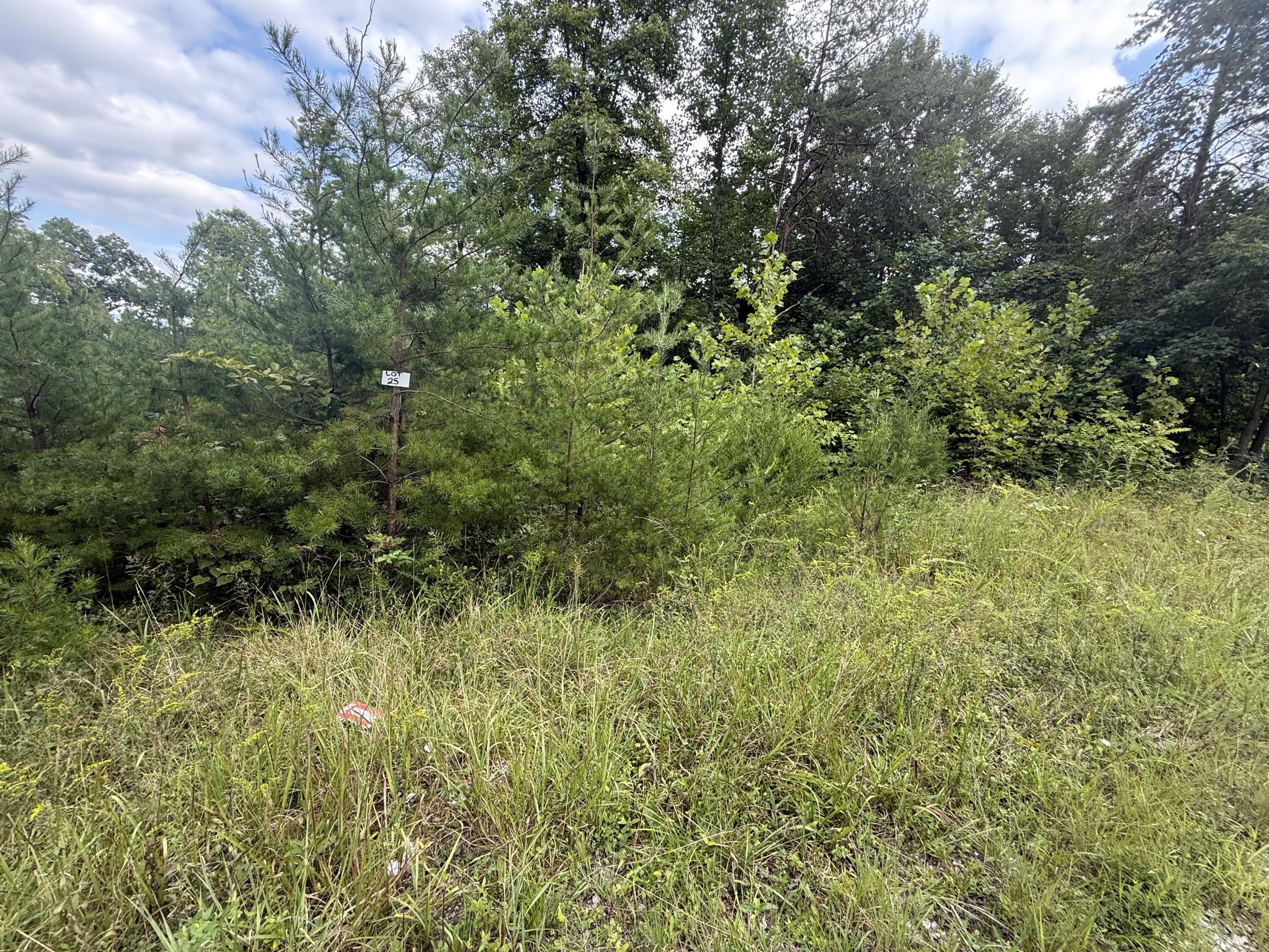 27 Buck Creek Circle Property Photo 3