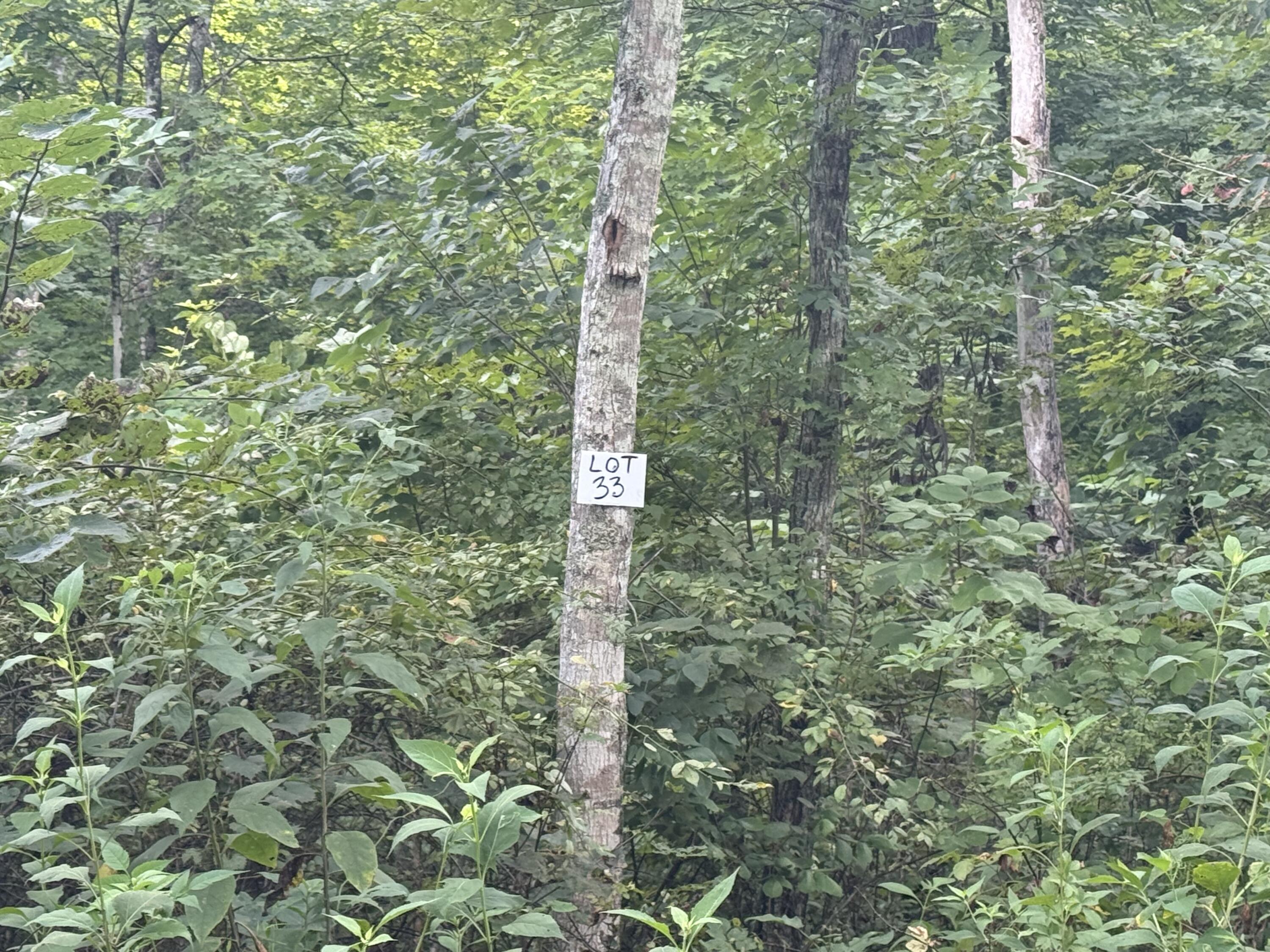 32 Buck Creek Circle Property Photo 1