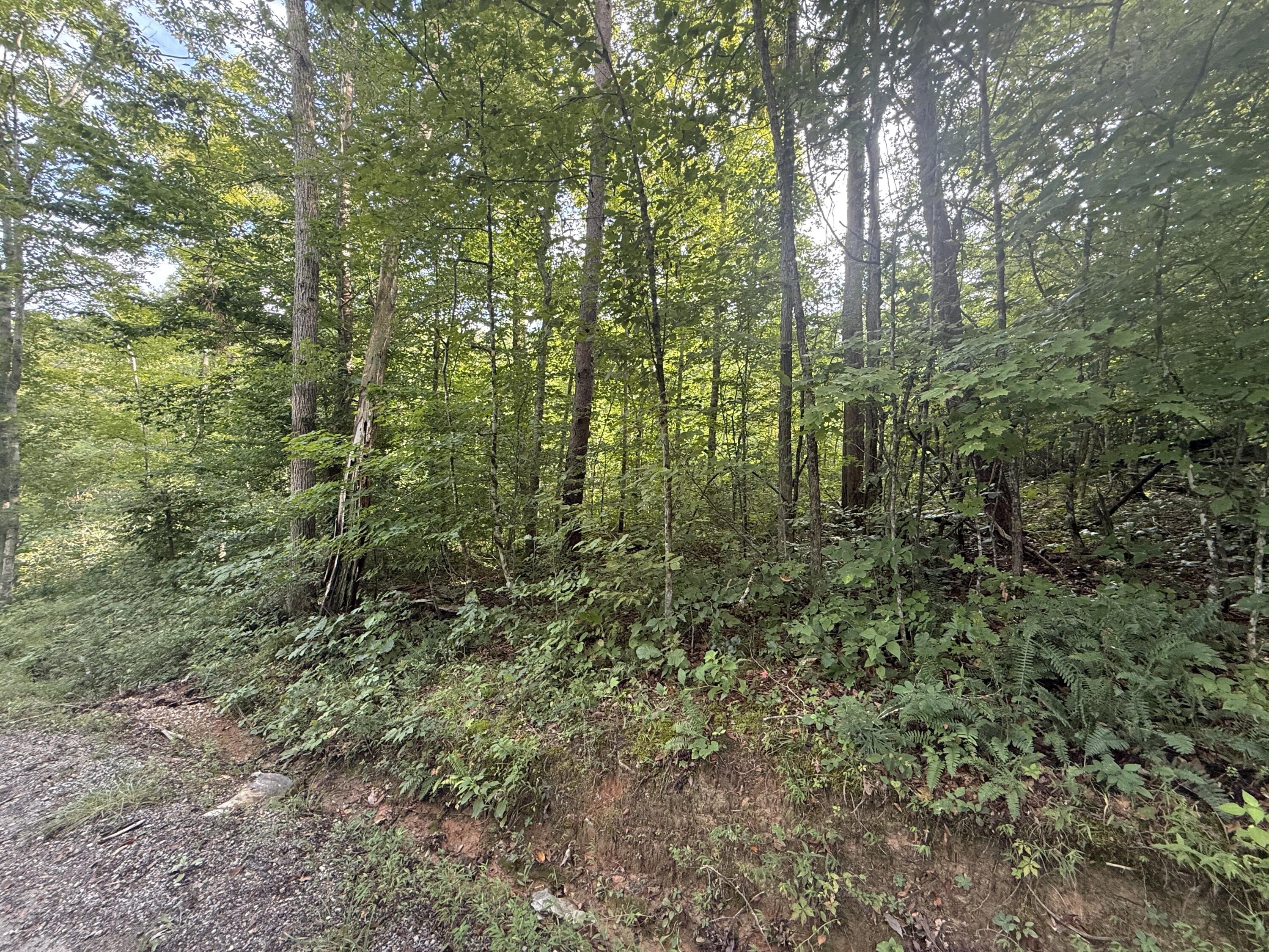 32 Buck Creek Circle Property Photo 2