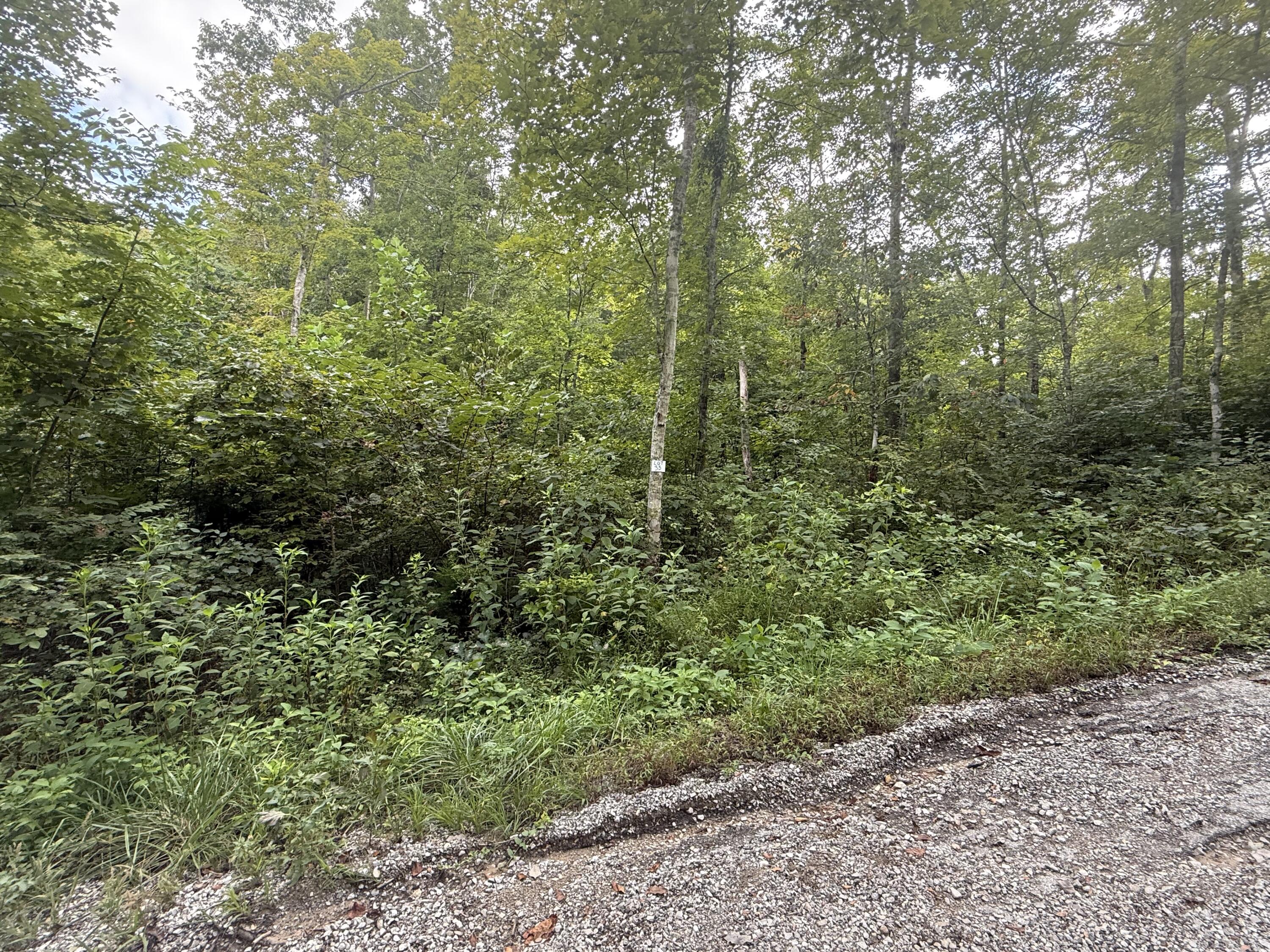 32 Buck Creek Circle Property Photo 3