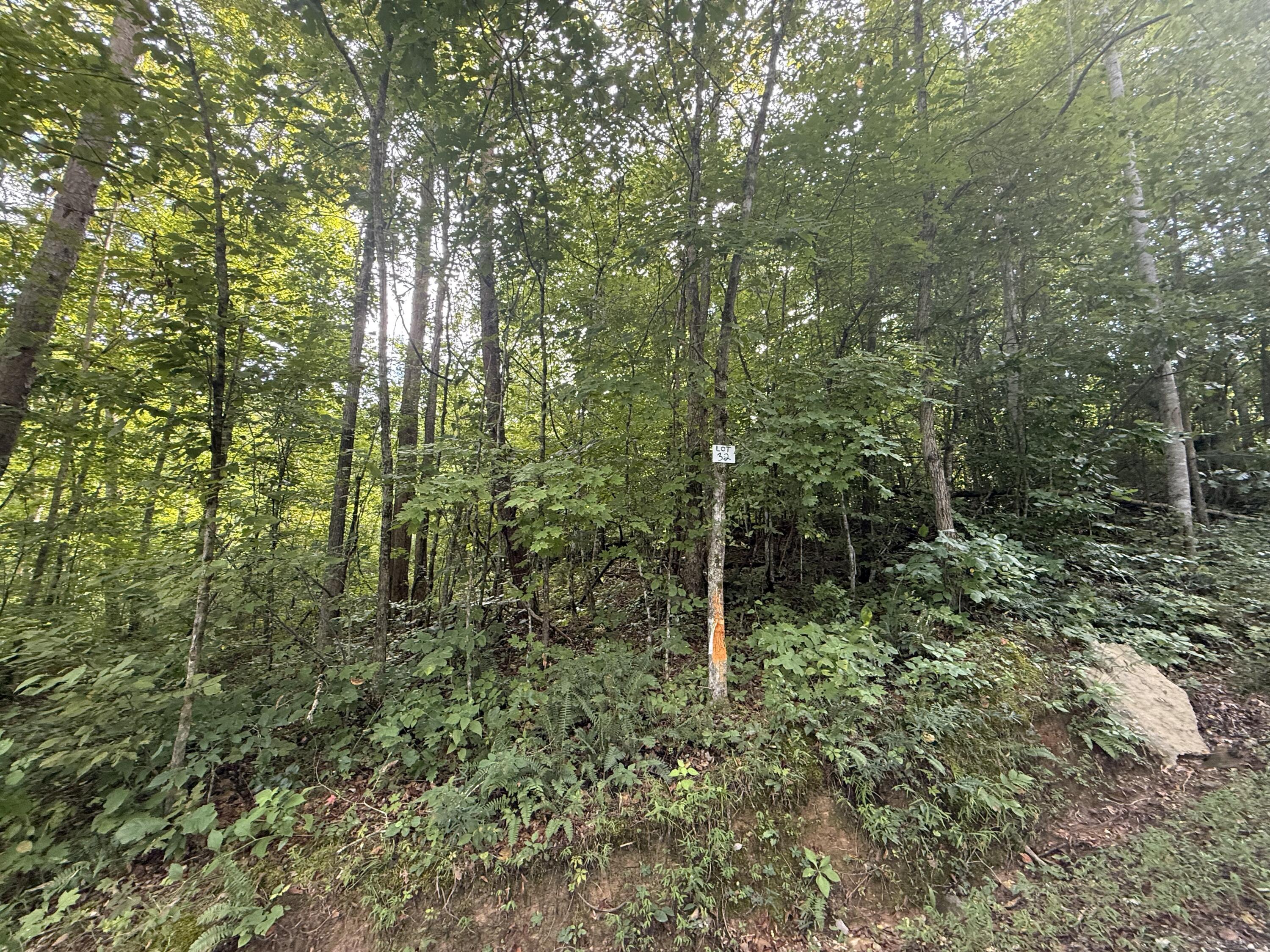 34 Buck Creek Circle Property Photo 1