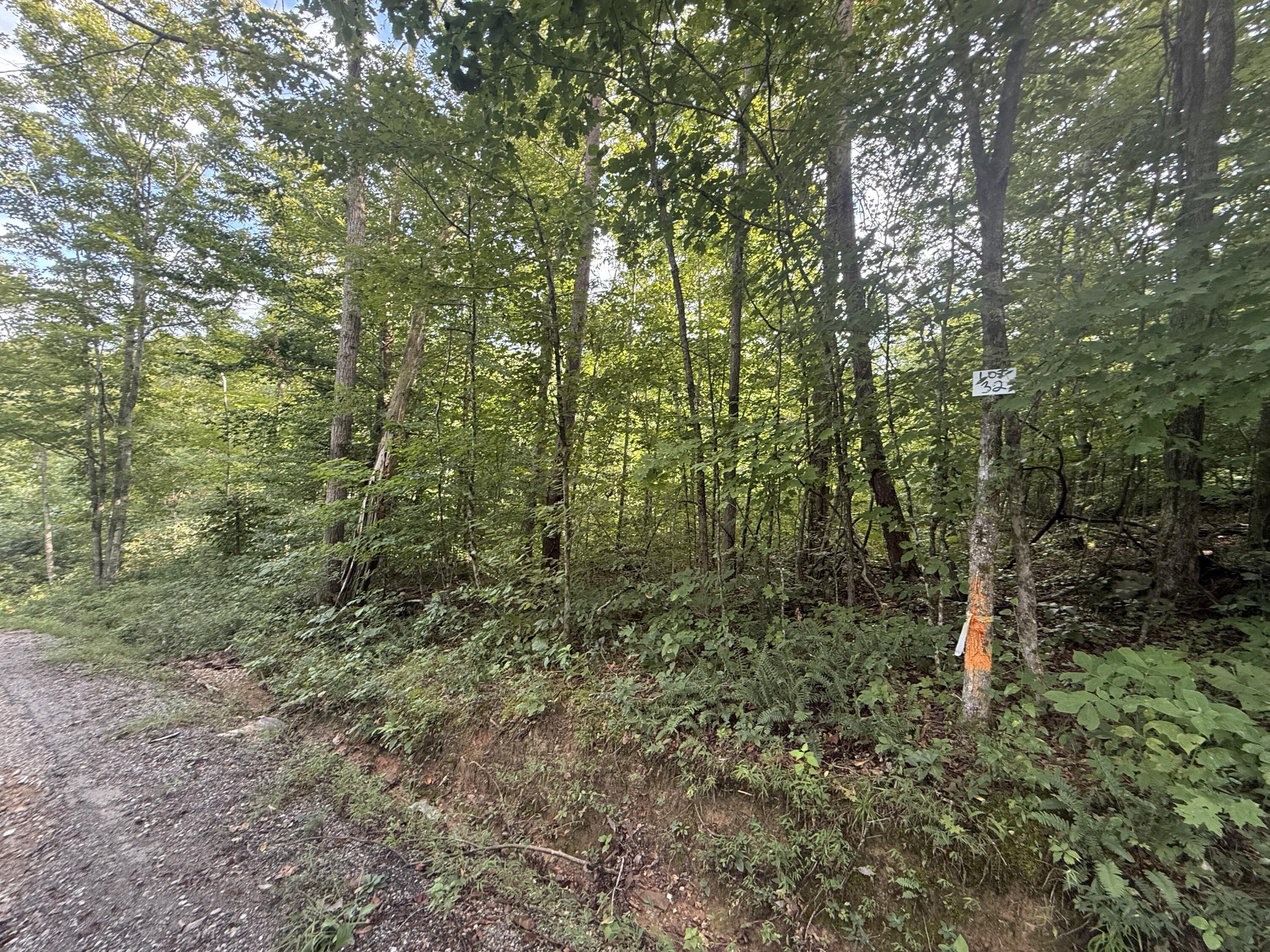 34 Buck Creek Circle Property Photo 3