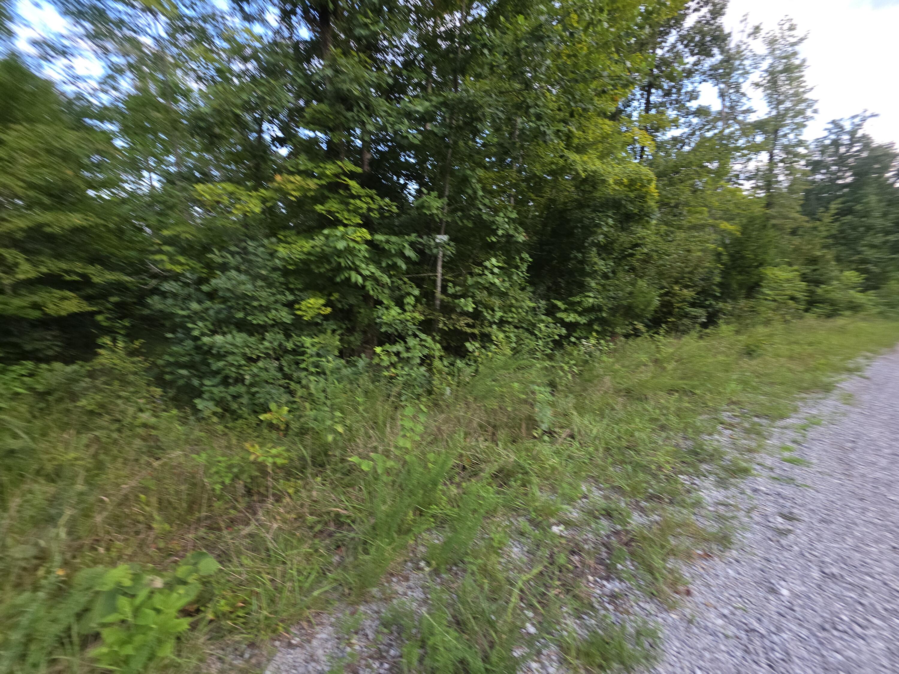 6 Buck Creek Circle Property Photo 6