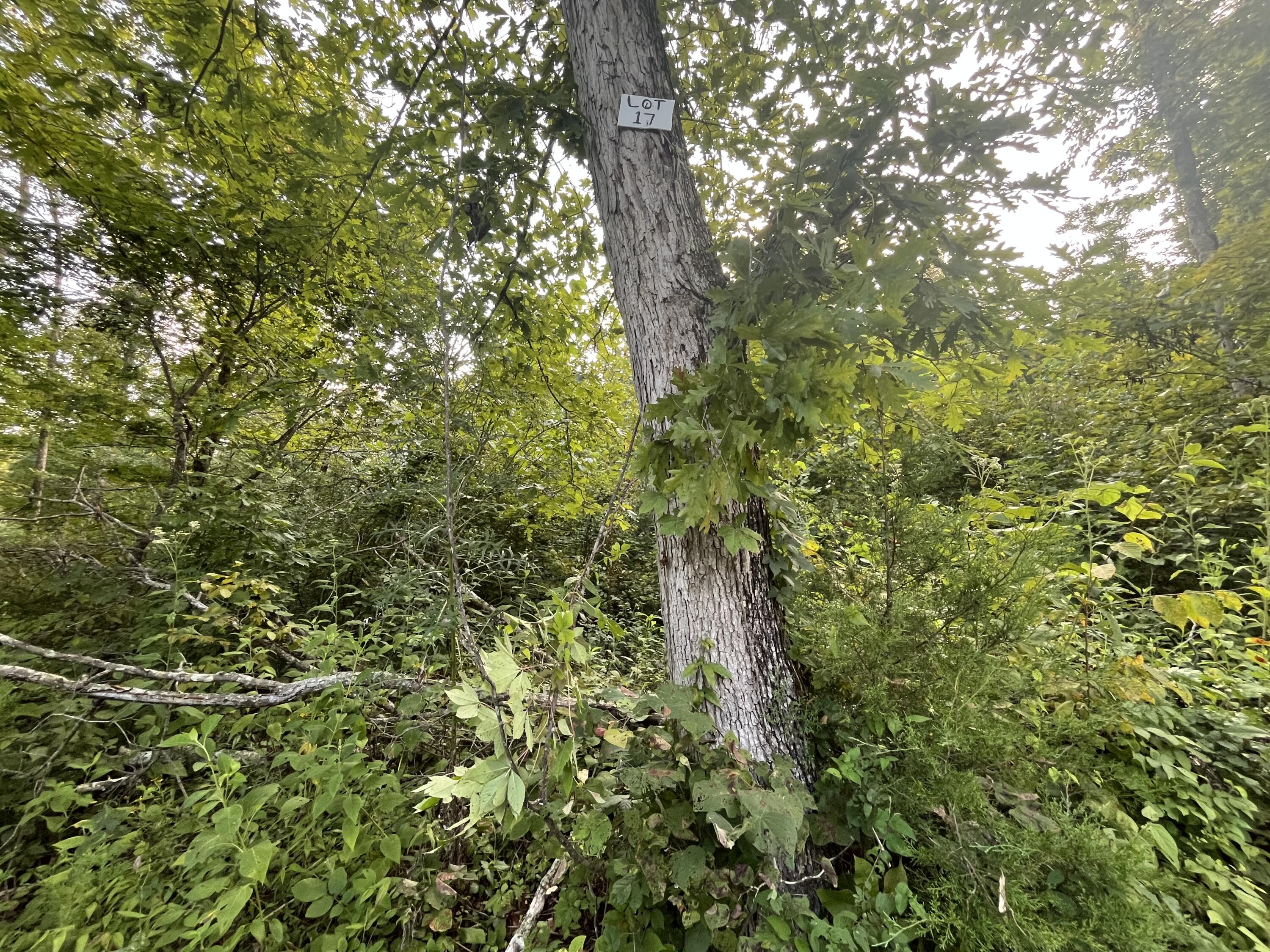 17 Buck Creek Circle Property Photo 2