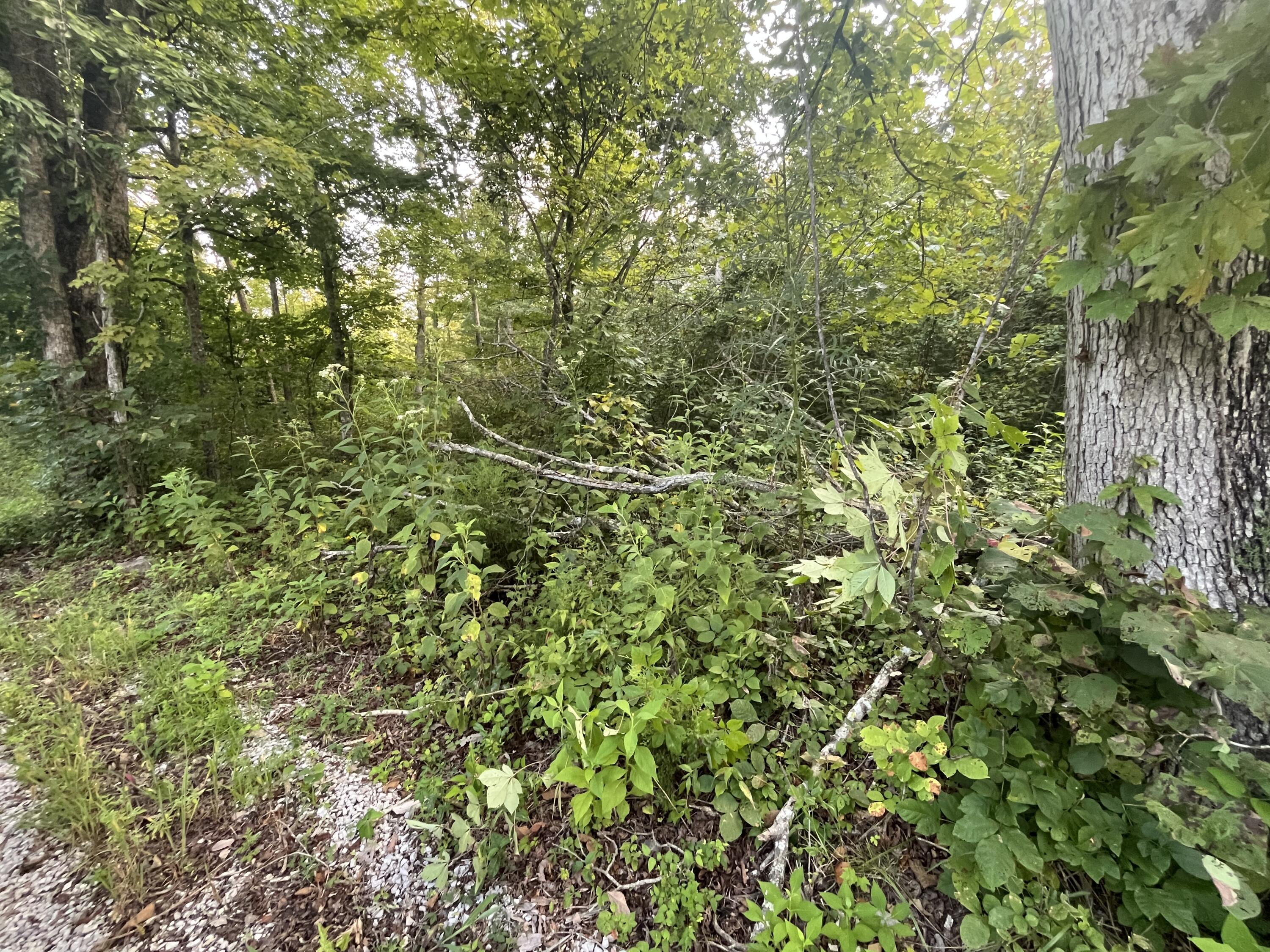 17 Buck Creek Circle Property Photo 3