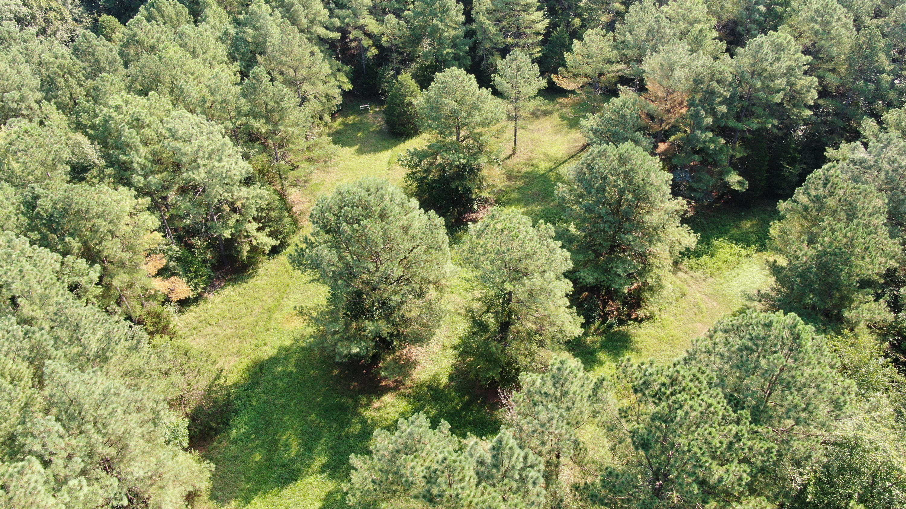 1422 Moors Camp Highway Property Photo 43