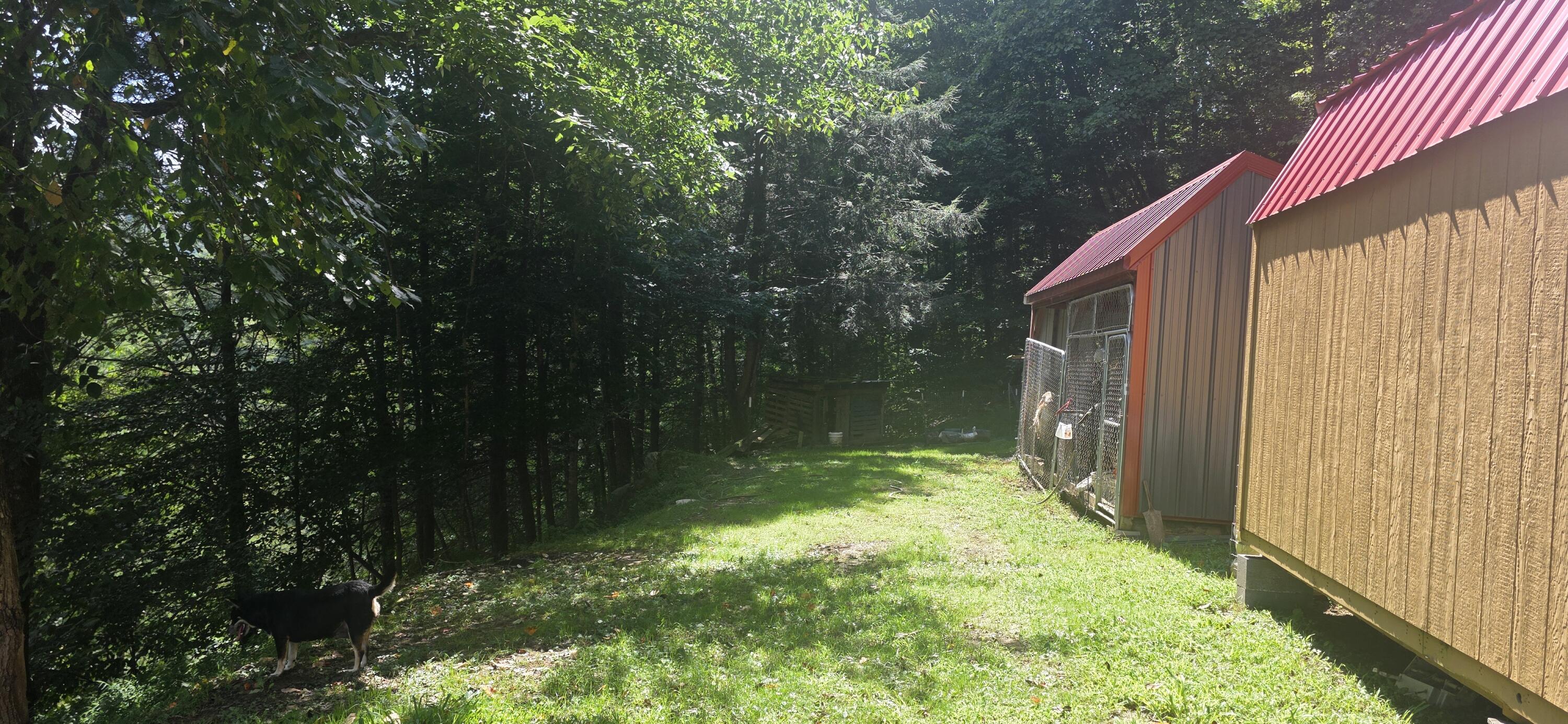 62 Harley Drive Property Photo 5