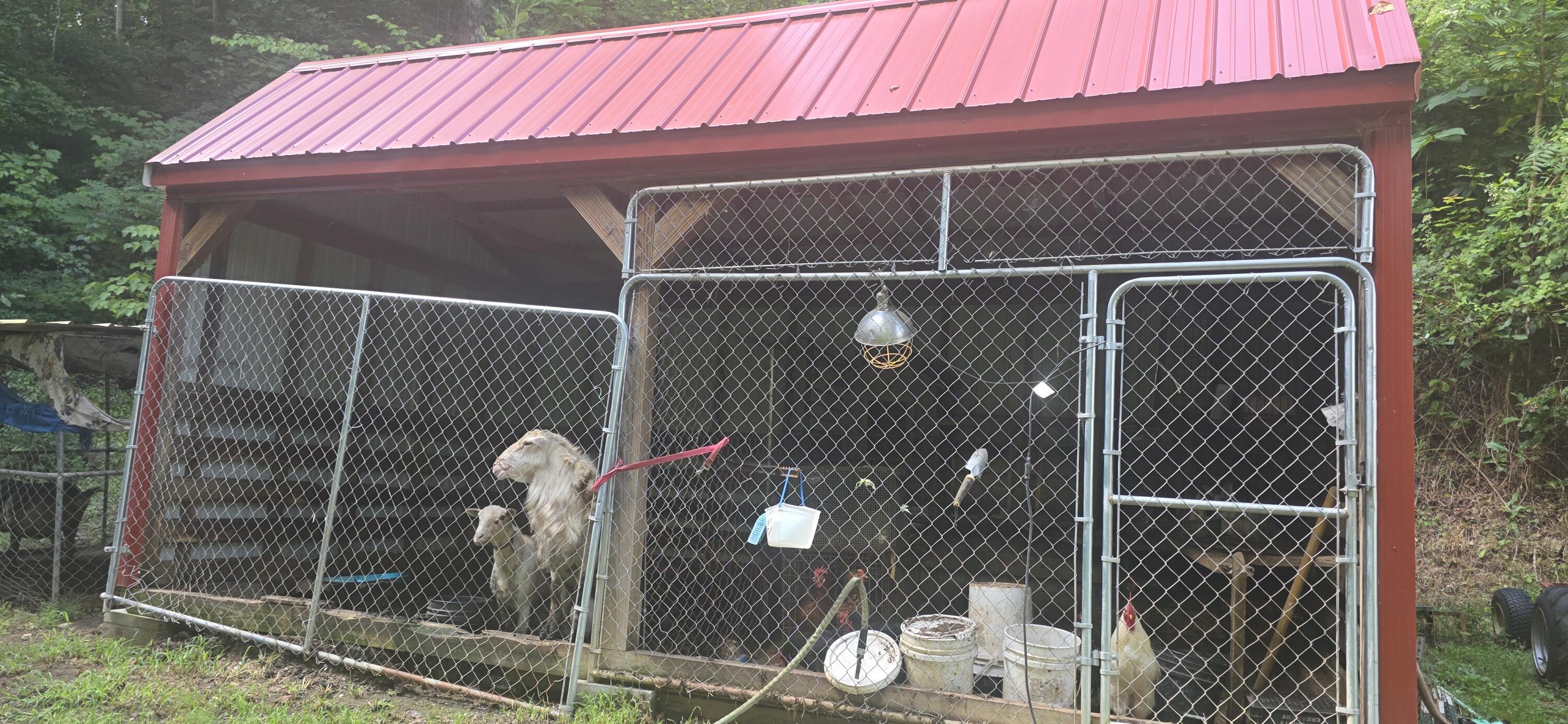 62 Harley Drive Property Photo 22
