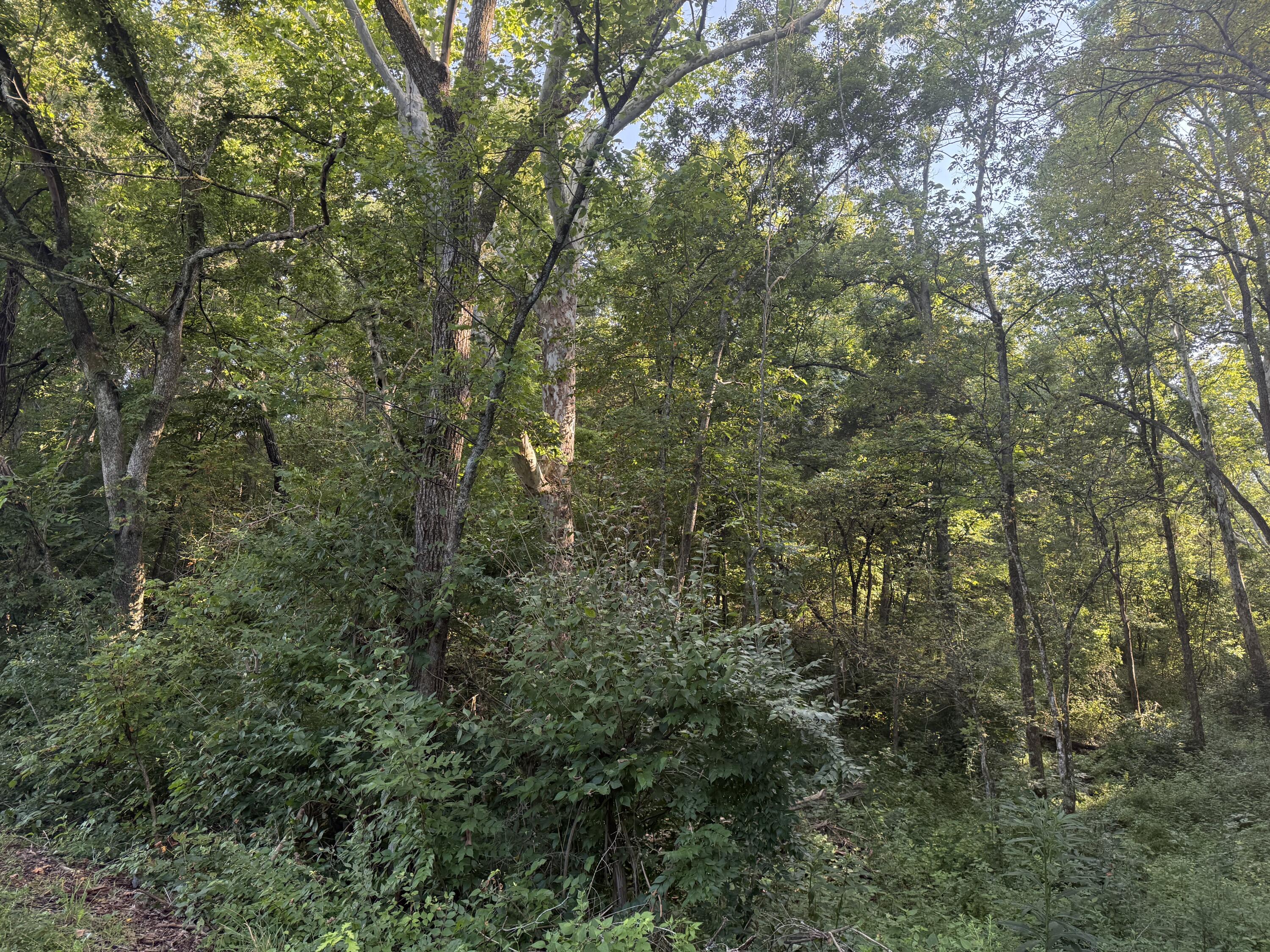 4782 Kentucky 596 Property Photo 5