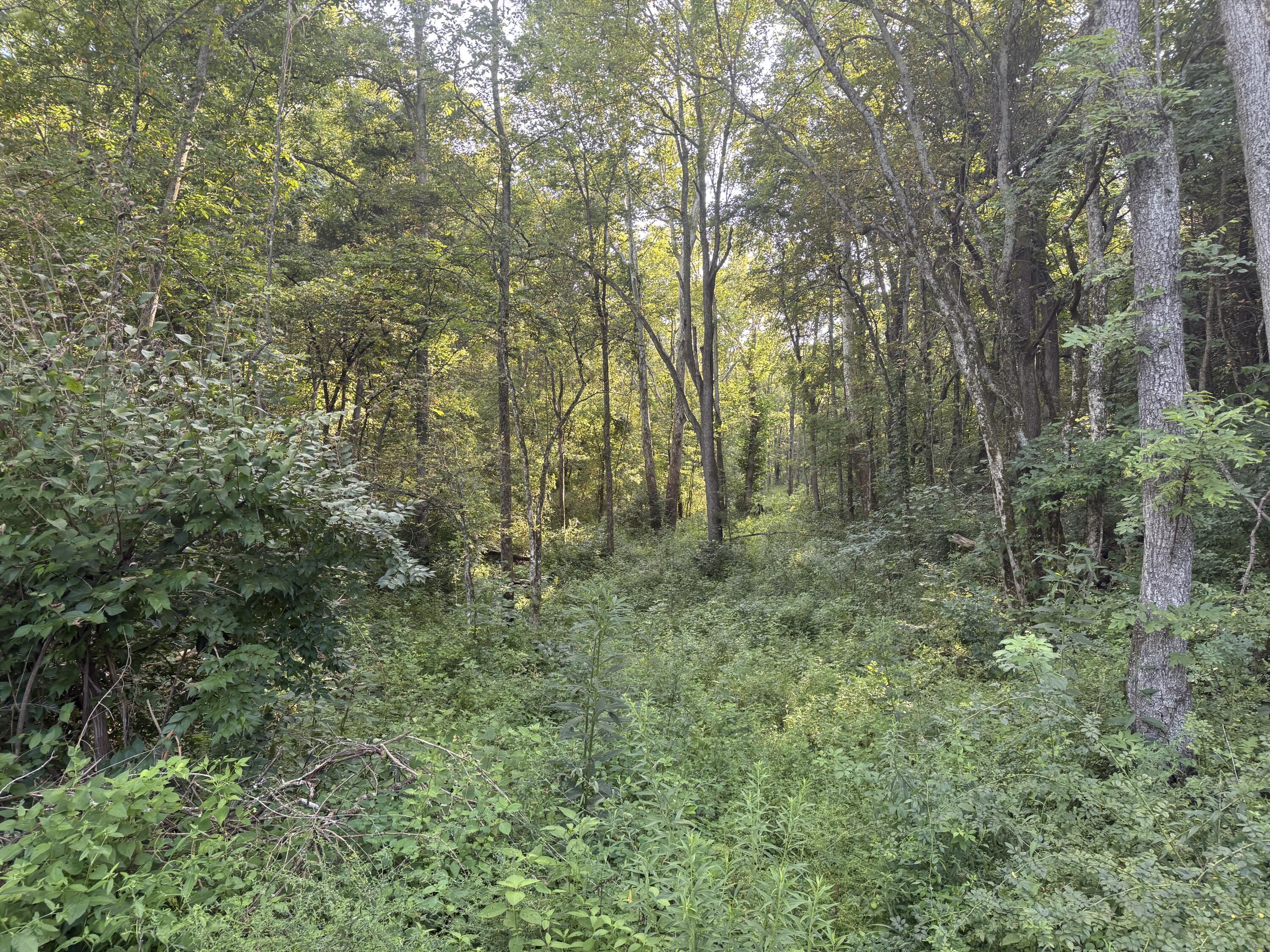 4782 Kentucky 596 Property Photo 7