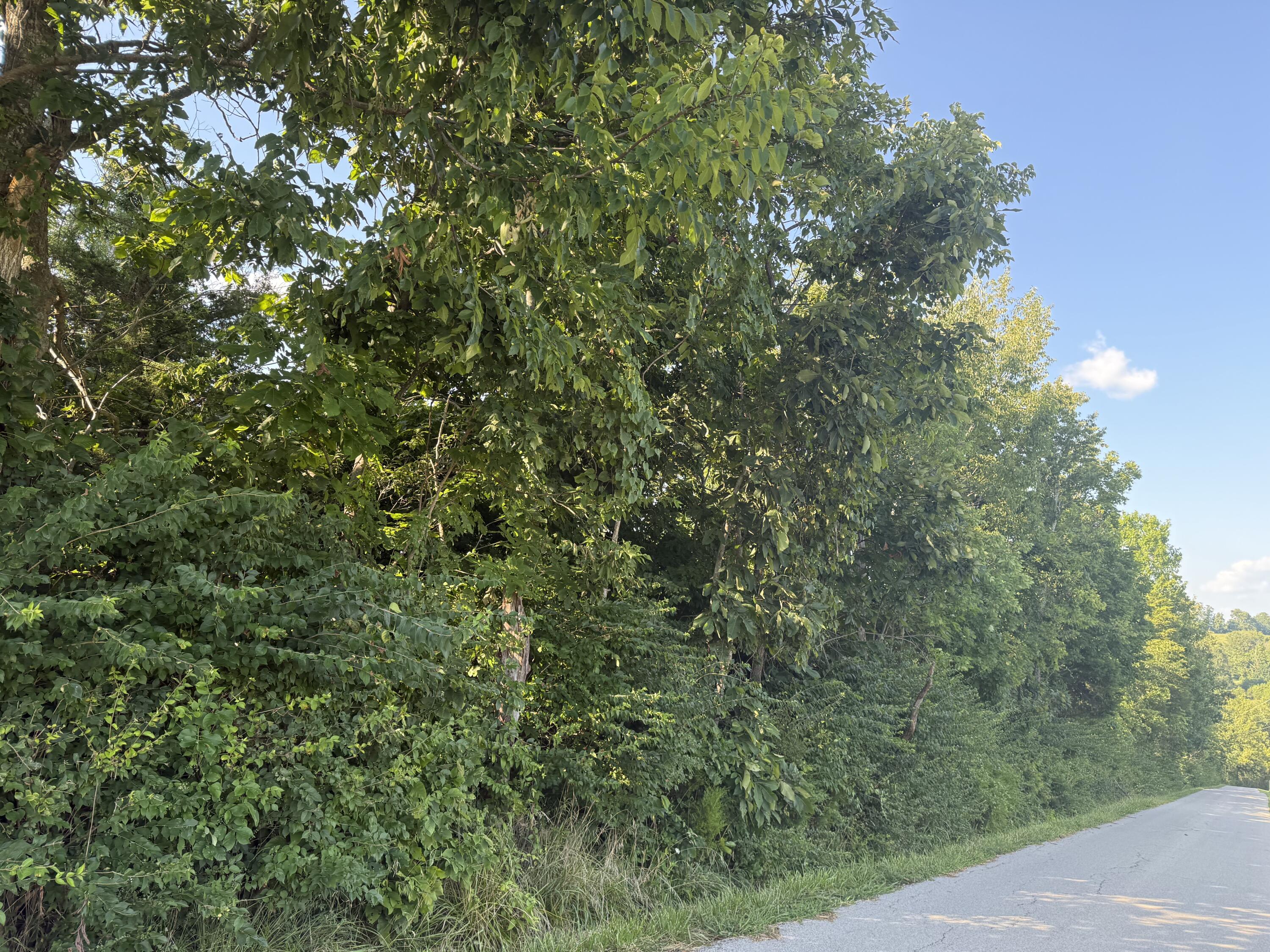 4782 Kentucky 596 Property Photo 8