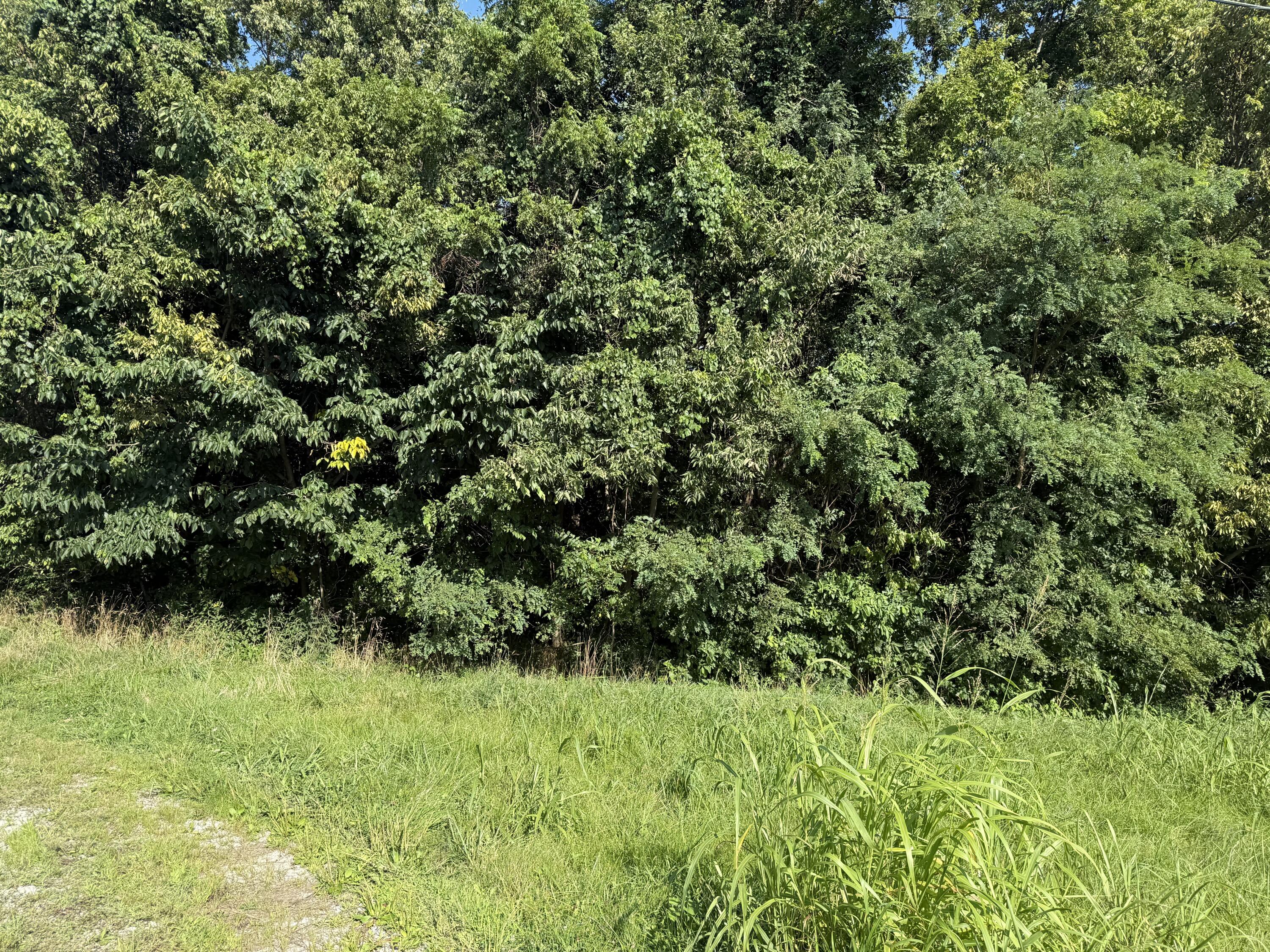 4782 Kentucky 596 Property Photo 10