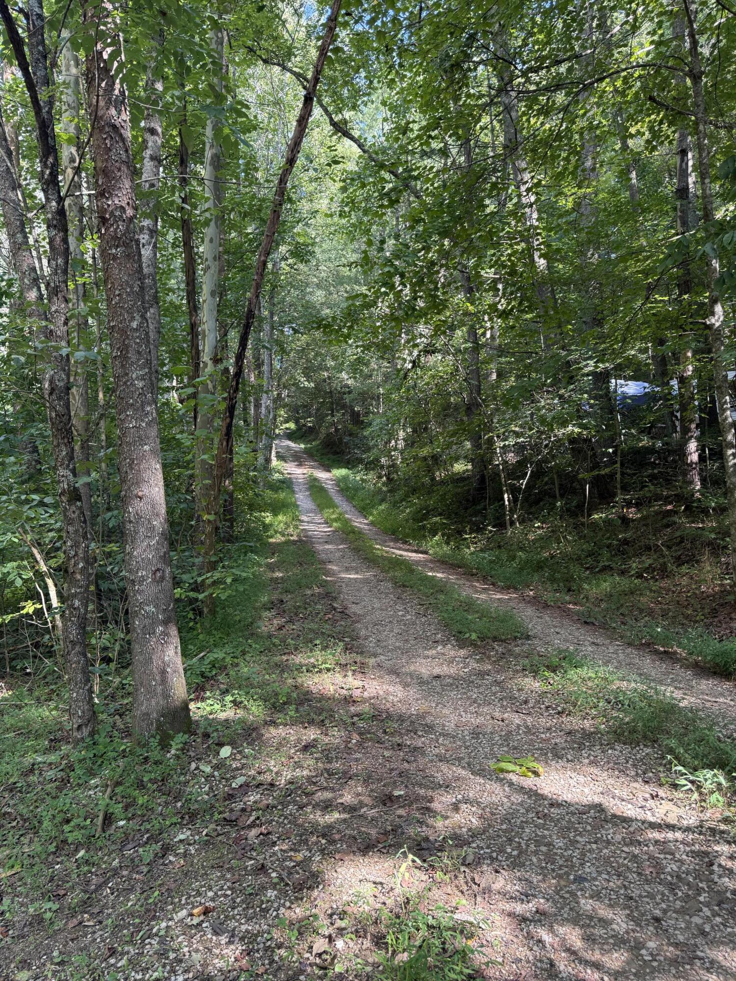 85 Knipp Hollow Road Property Photo 13