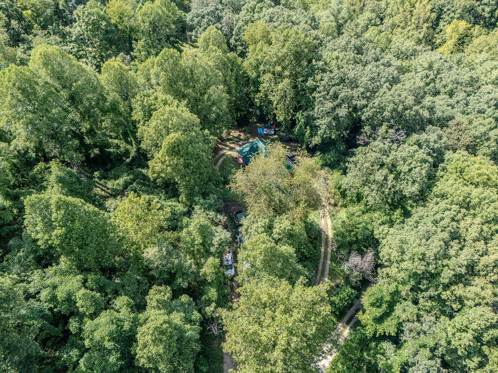 85 Knipp Hollow Road Property Photo 15