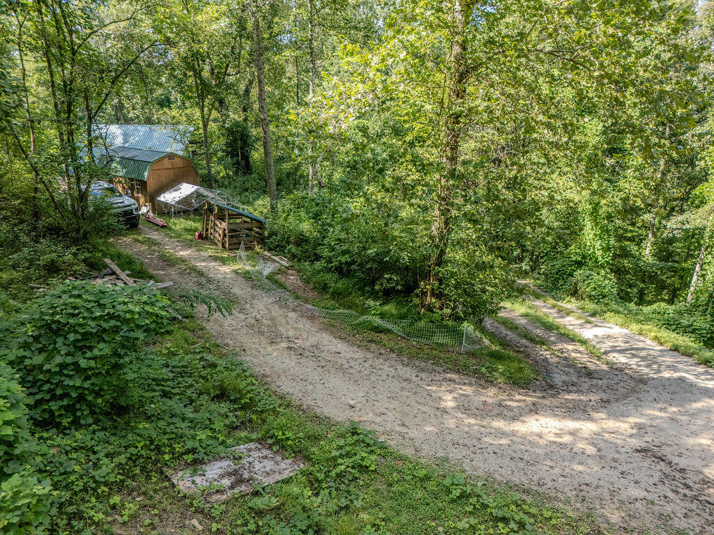 85 Knipp Hollow Road Property Photo 17
