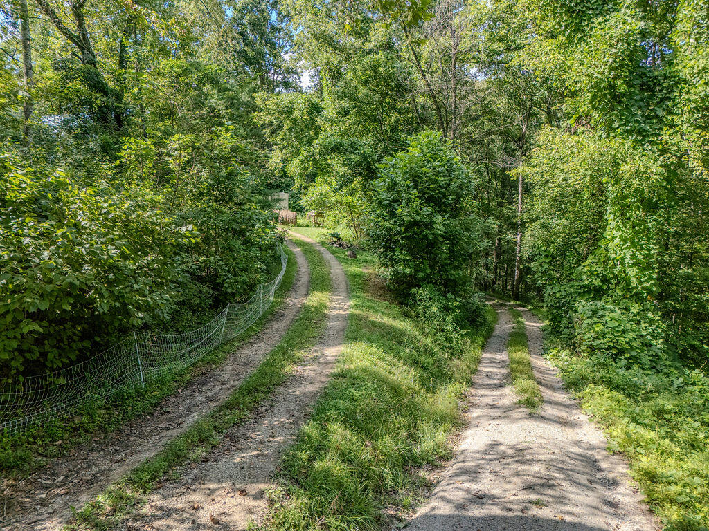 85 Knipp Hollow Road Property Photo 20