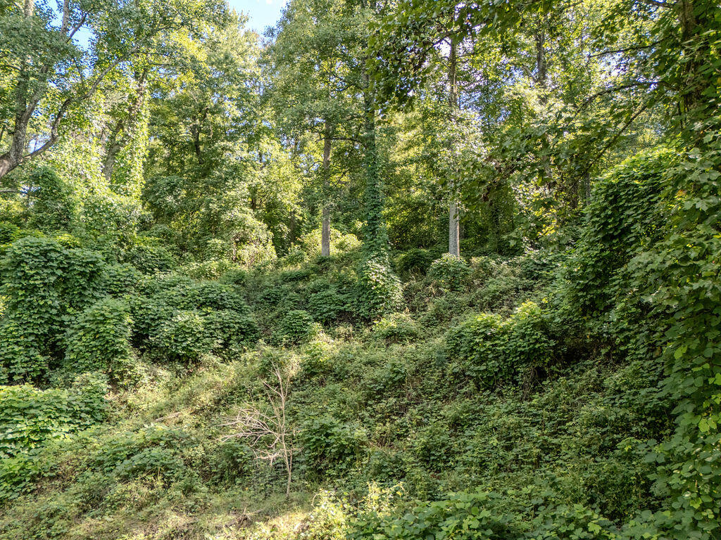 85 Knipp Hollow Road Property Photo 35