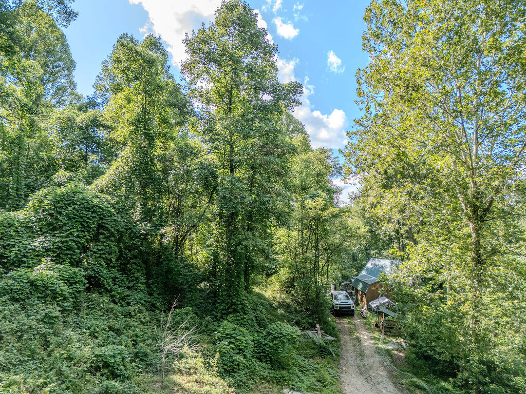 85 Knipp Hollow Road Property Photo 38