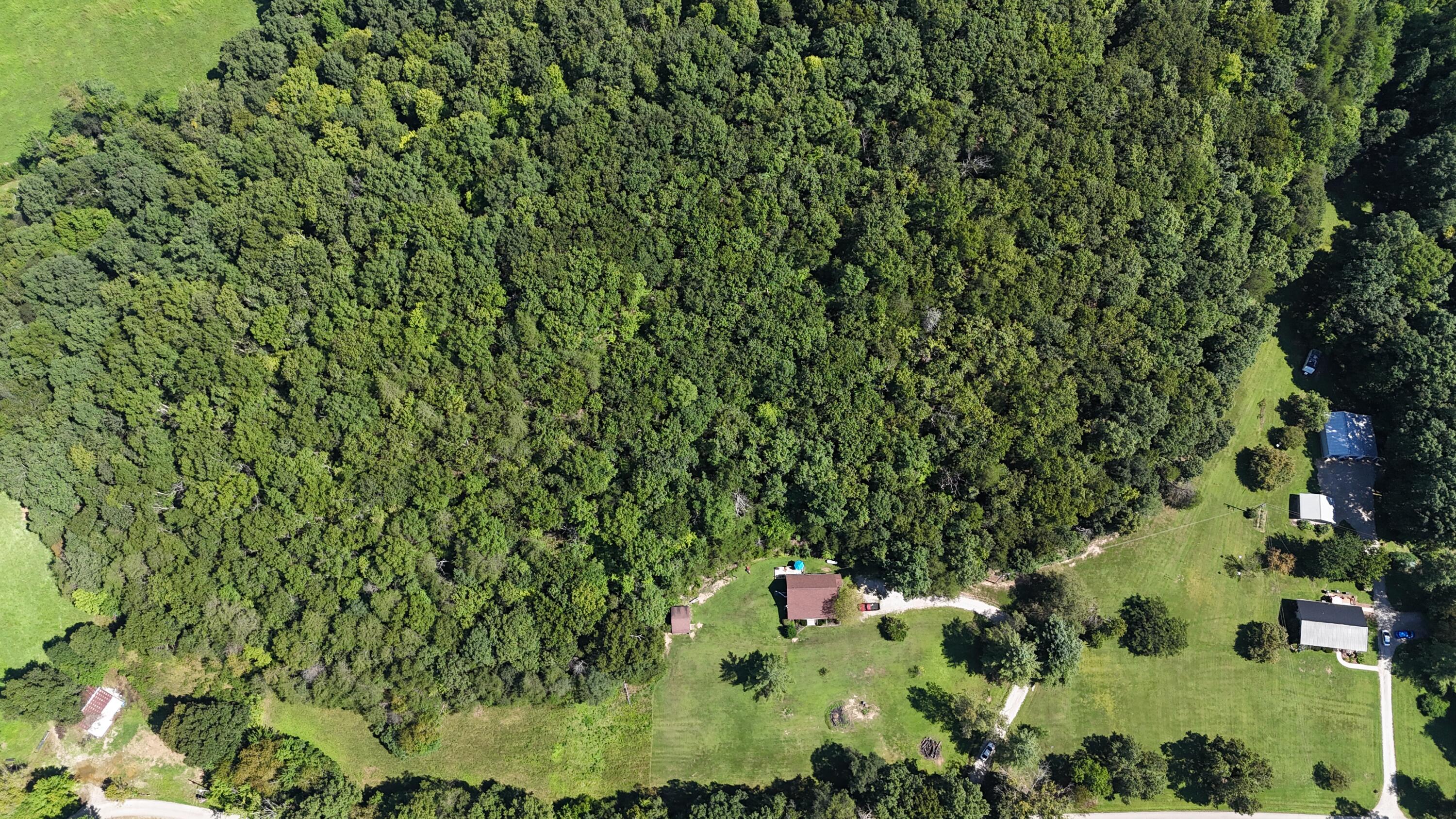 458 Pendleton Branch Road Property Photo 10