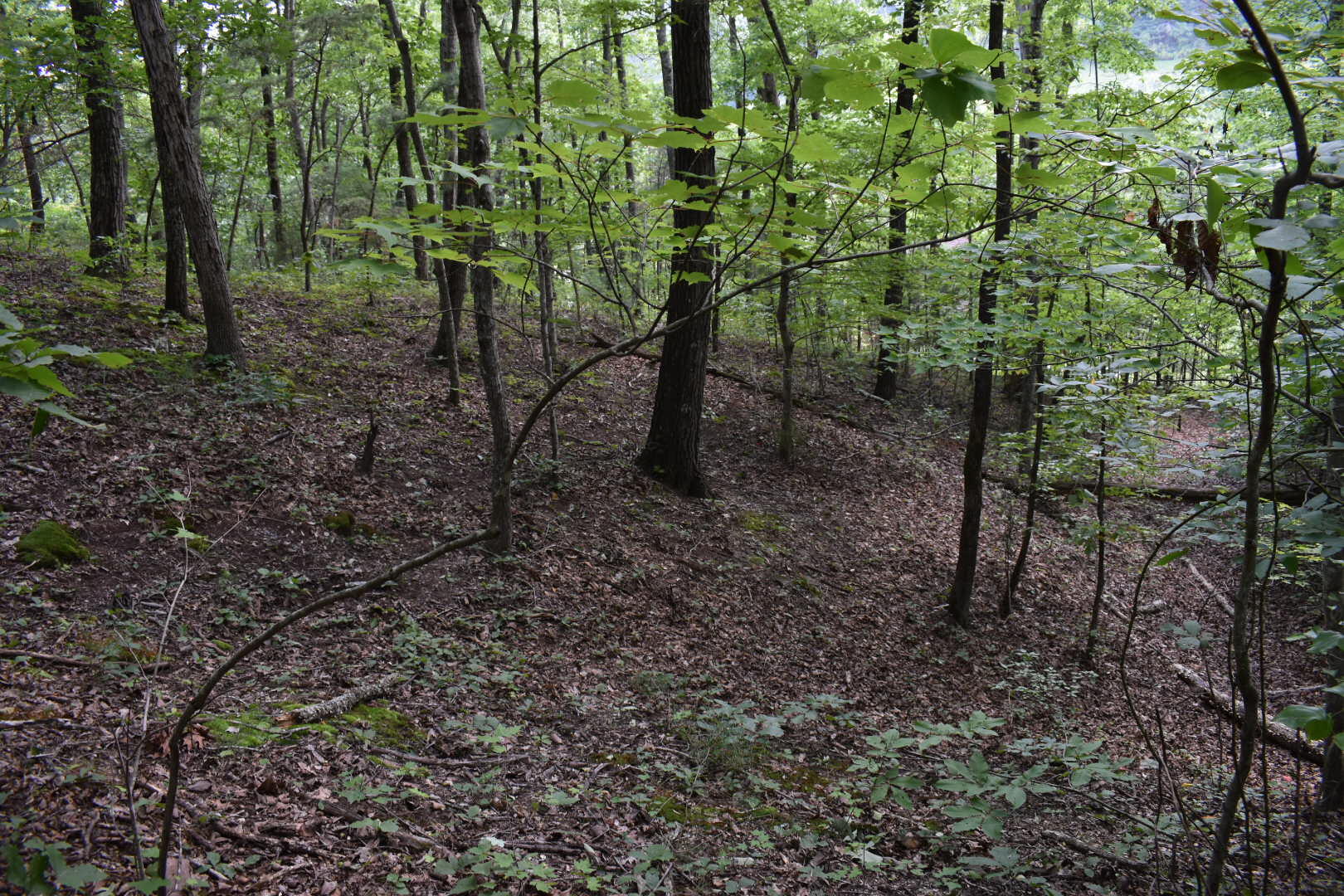 458 Pendleton Branch Road Property Photo 37