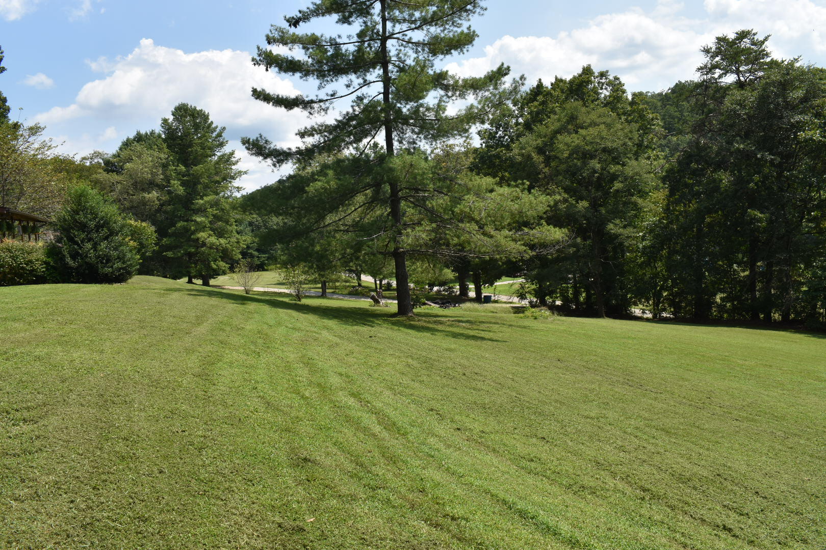 458 Pendleton Branch Road Property Photo 49