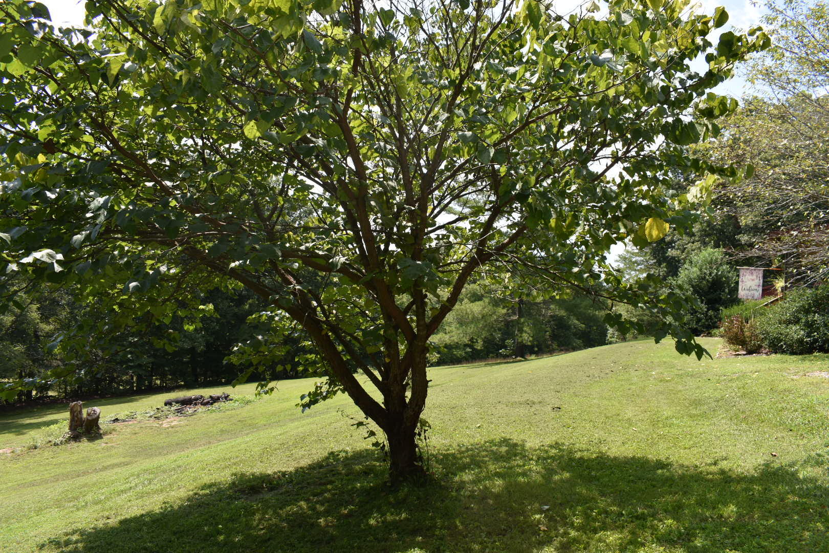 458 Pendleton Branch Road Property Photo 52