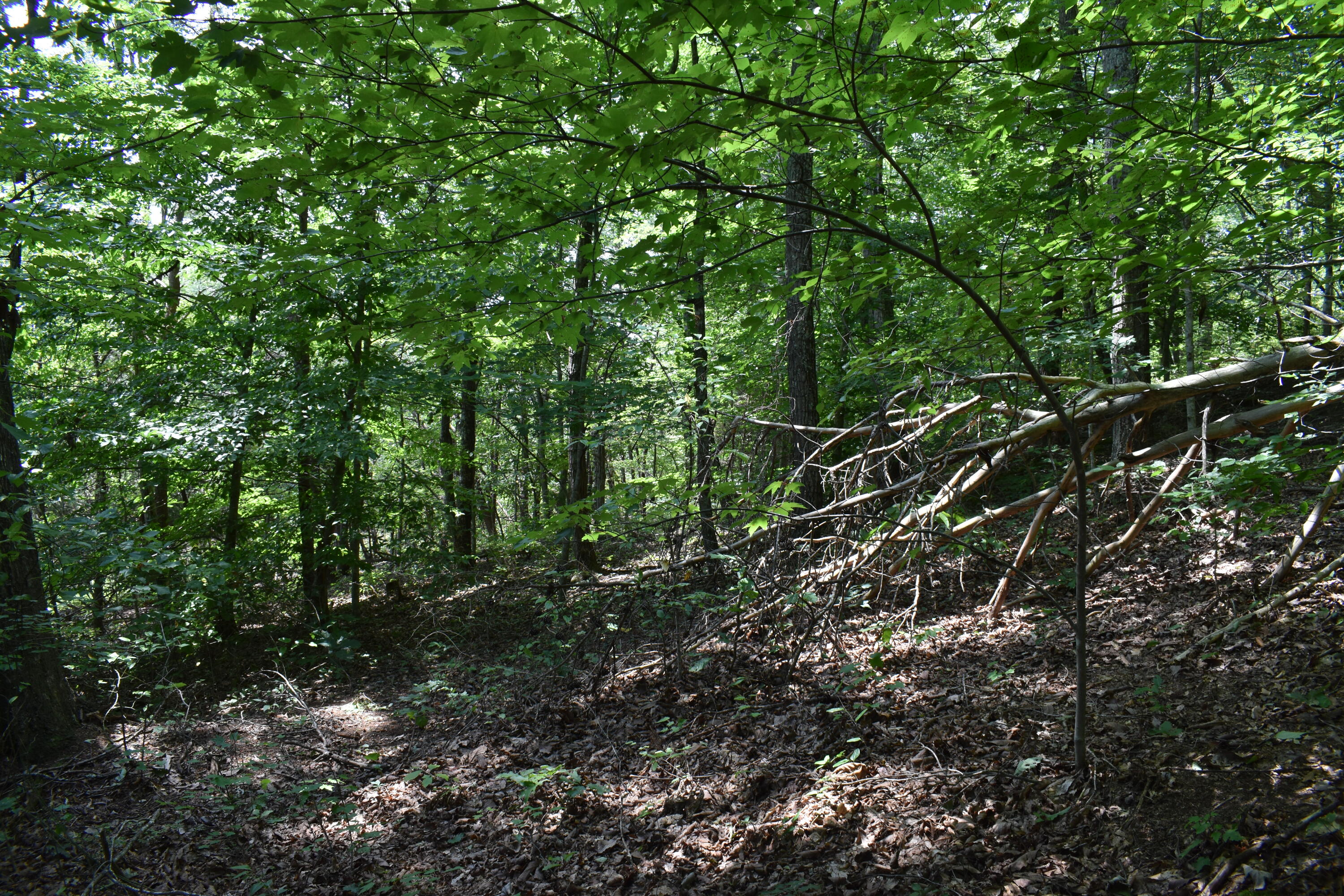 458 Pendleton Branch Road Property Photo 53